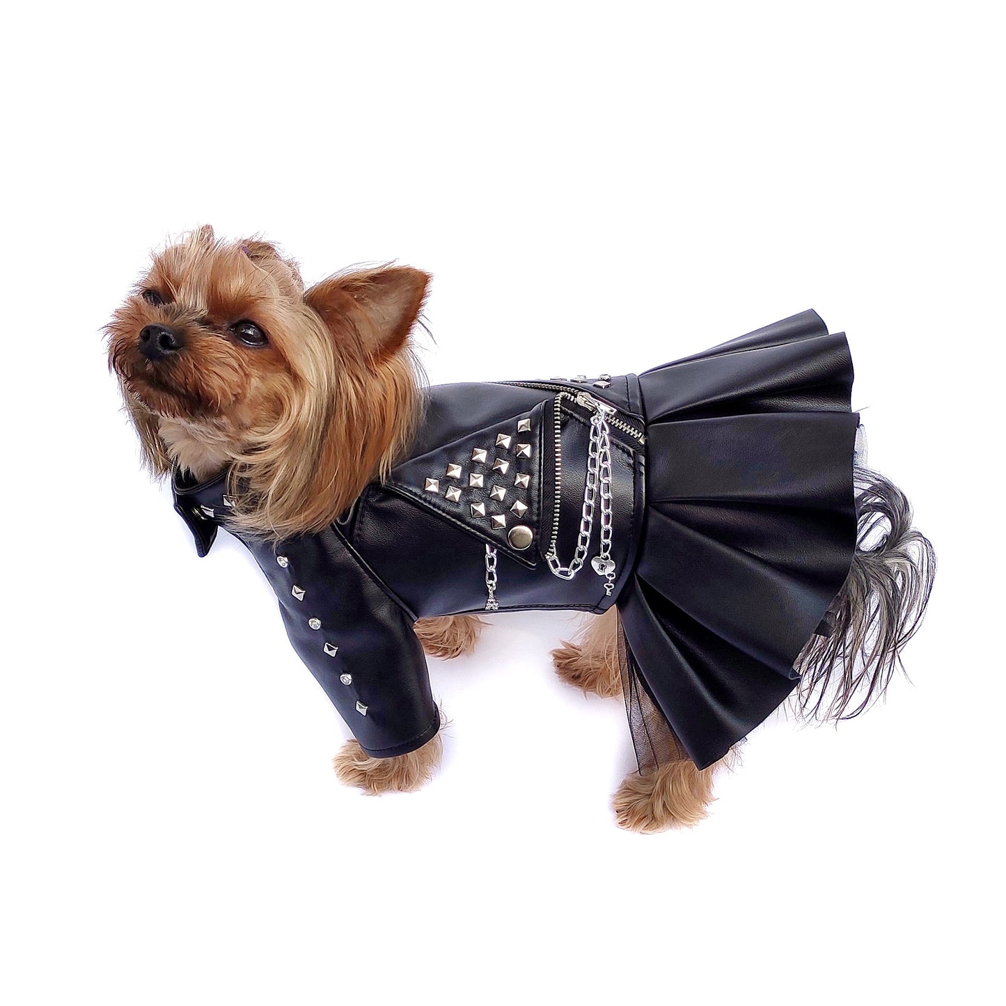 Handmade Biker Leather Jacket Dress for Dogs β Rocker Style Dog OutfitSmall dog wearing handmade black leather biker jacket dress
Rock-style dog outfit