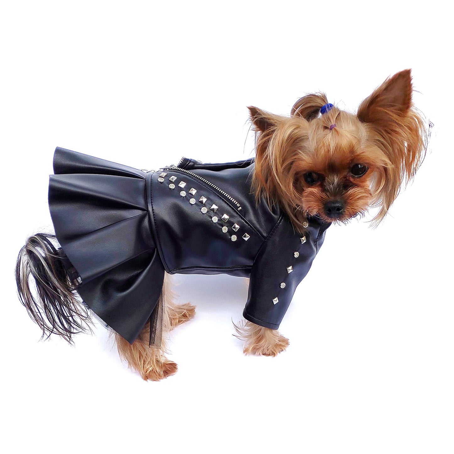 Handmade Biker Leather Jacket Dress for Dogs β Rocker Style Dog OutfitSmall dog wearing handmade black leather biker jacket dress
Rock-style dog outfit