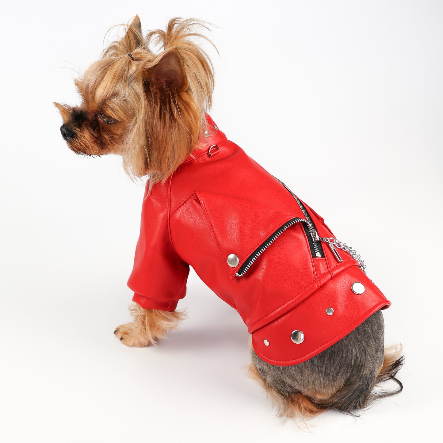 Designer Red Leather Dog Jacket