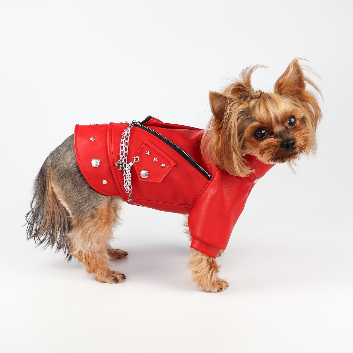 Designer Red Leather Dog Jacket