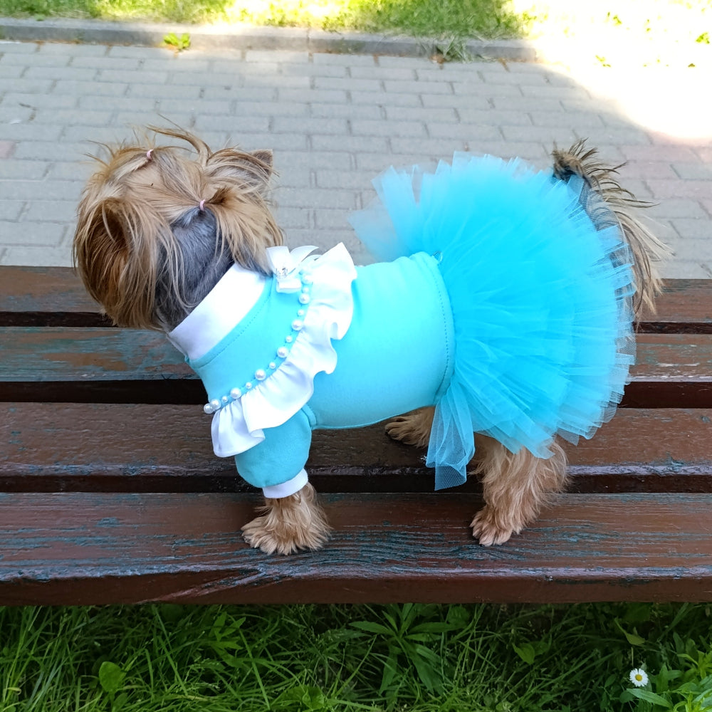 Dog wearing a turquoise dress with ruffles