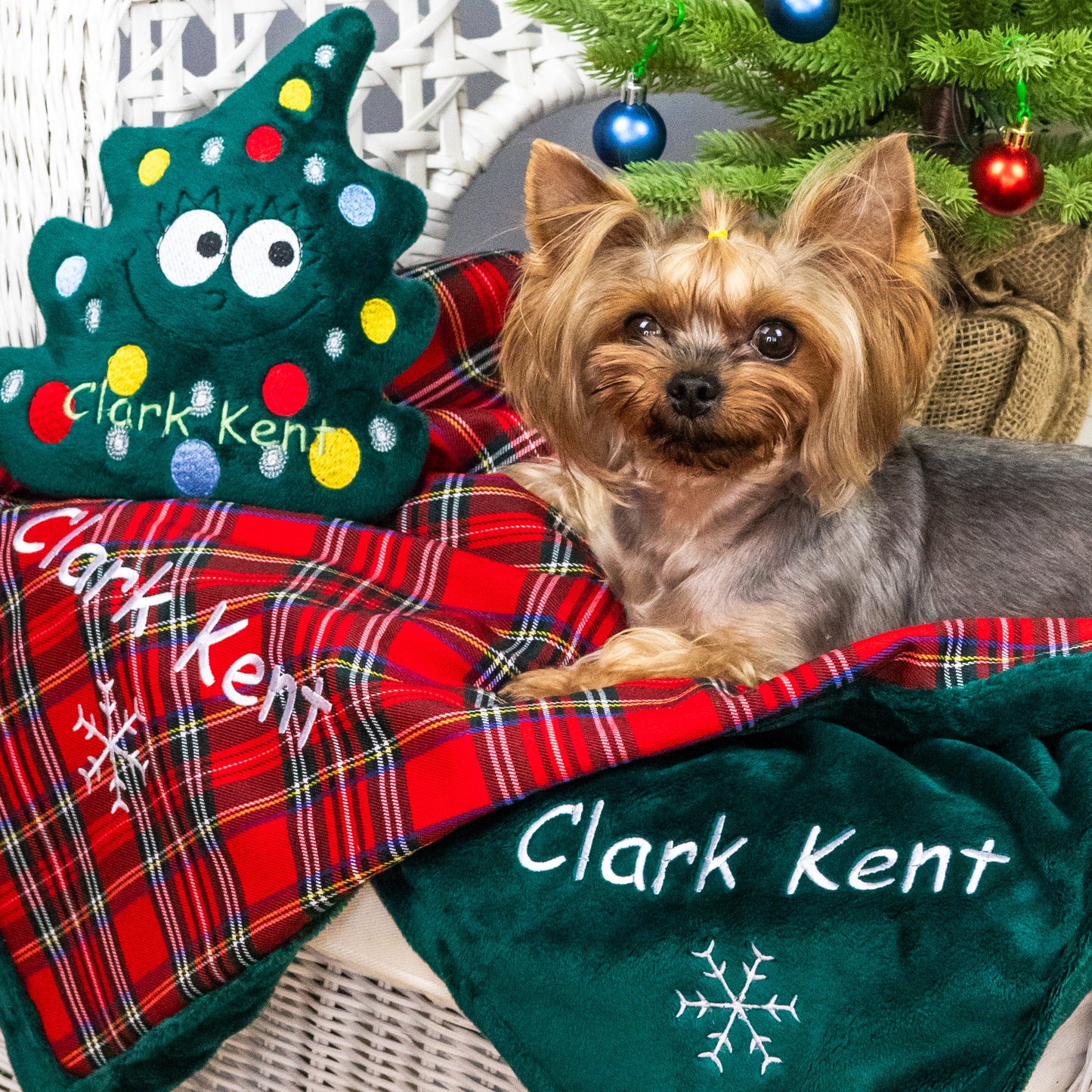Christmas personalized dog blanket and toy with name embroidery