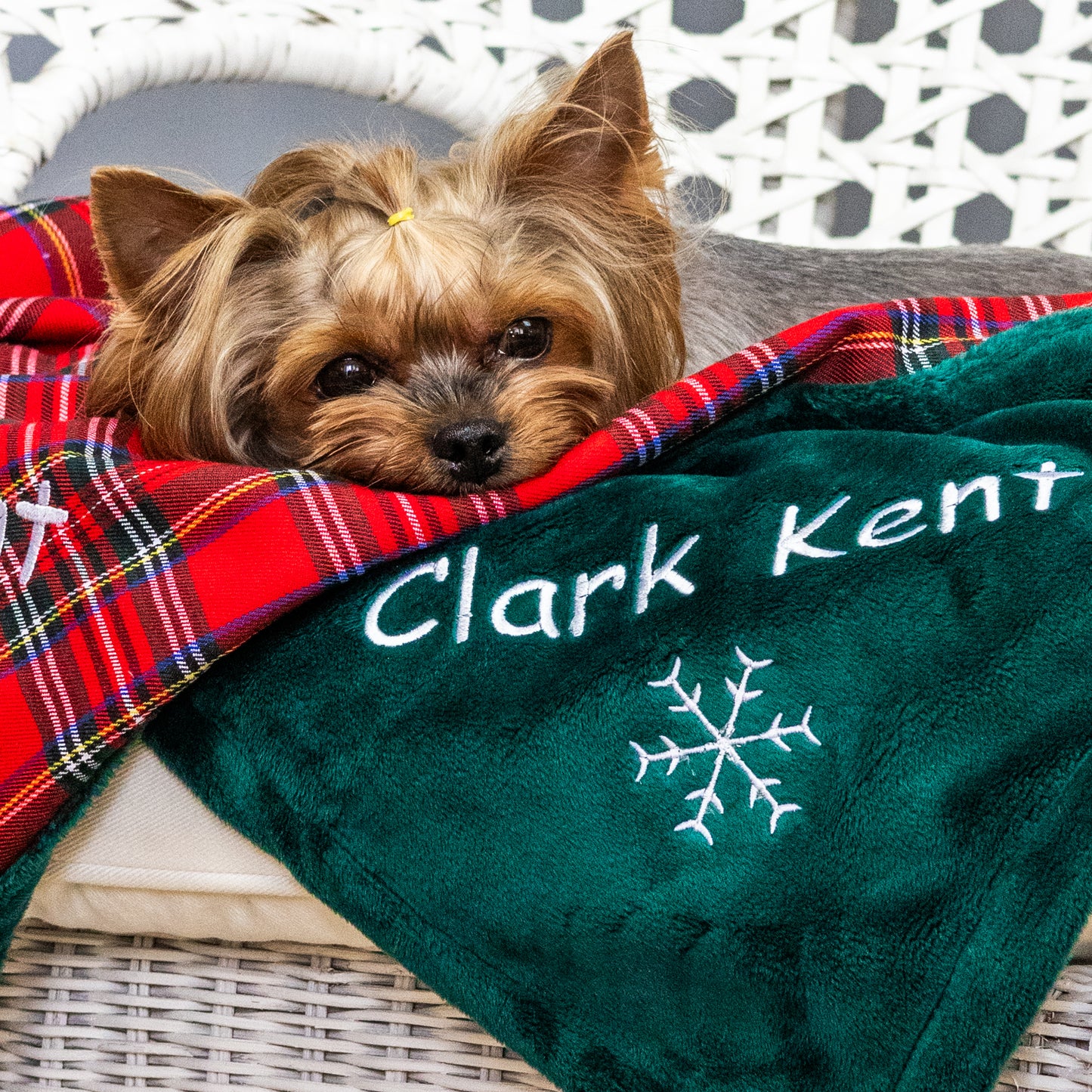 Christmas personalized dog blanket and toy with name embroidery