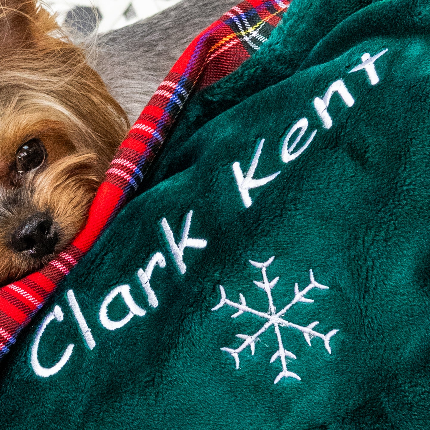 Christmas personalized dog blanket and toy with name embroidery