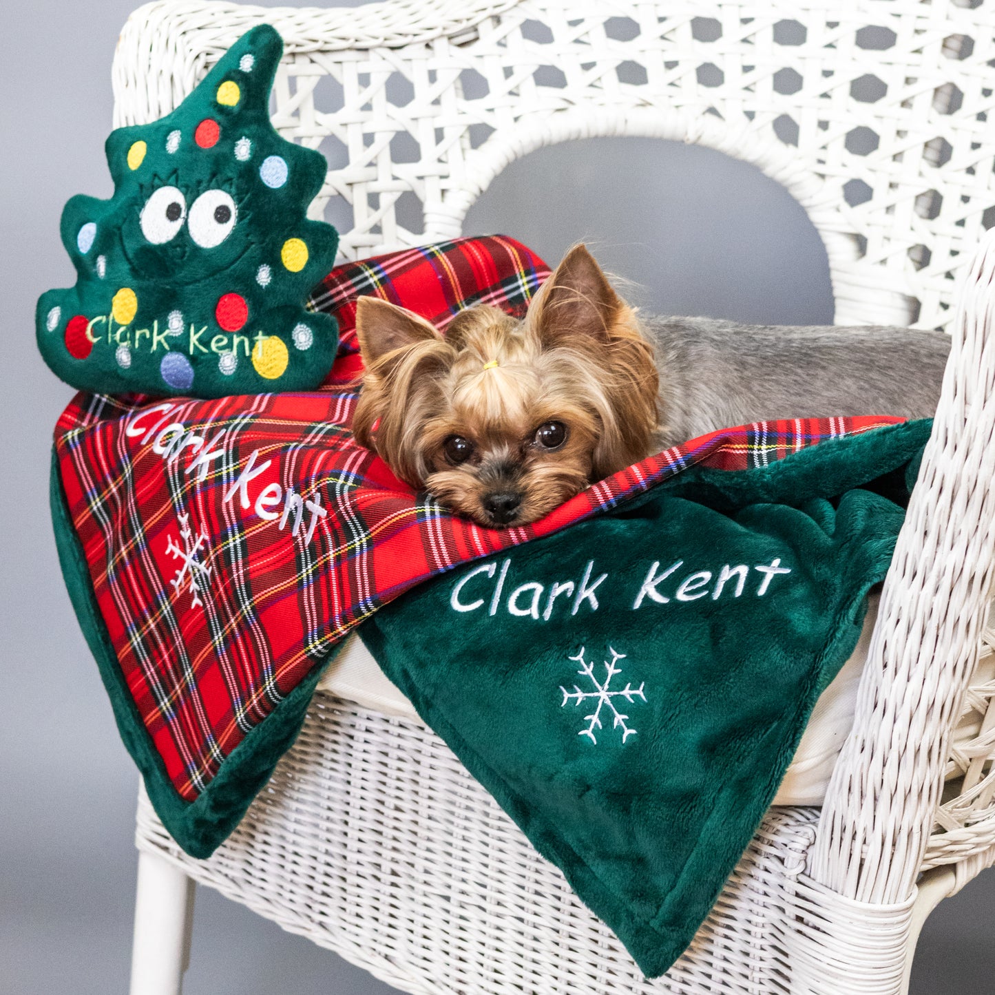 Christmas personalized dog blanket and toy with name embroidery