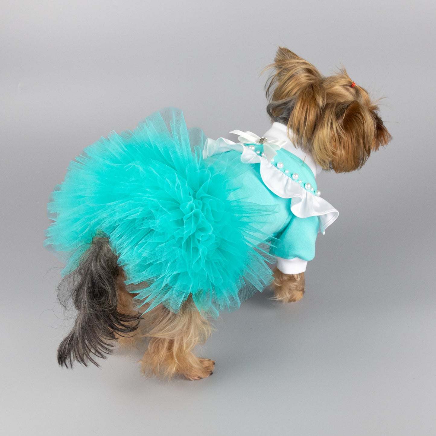 designer dog outfits
designer dog apparel