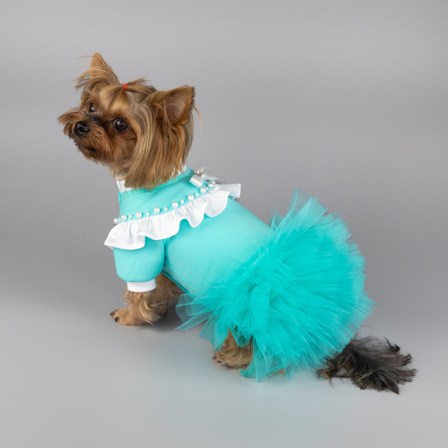 Small dog clothes Designer dog dresses