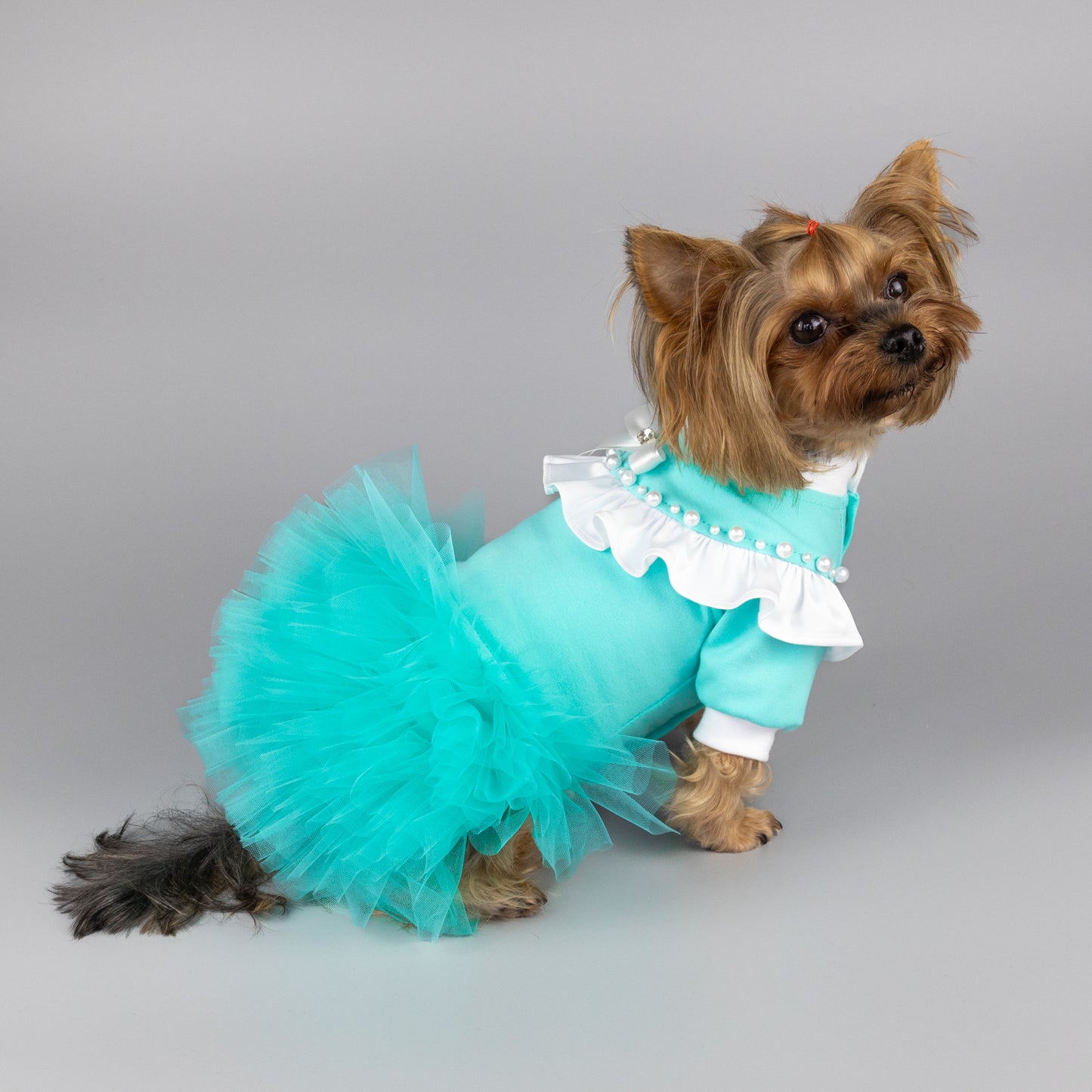 Cute yorkie dress Chihuahua clothes Tutu dog