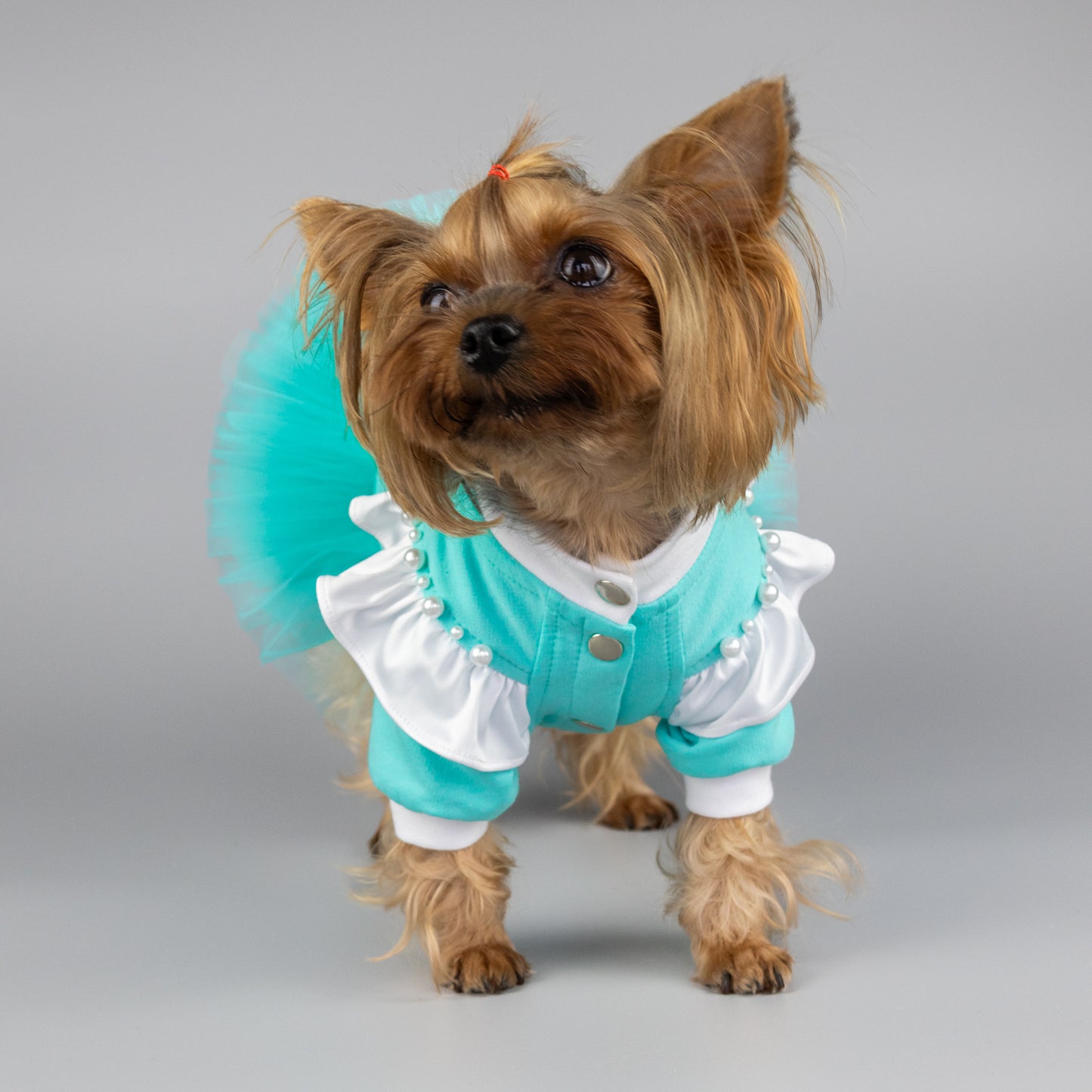 Cute dog dresses Handmade dog clothes