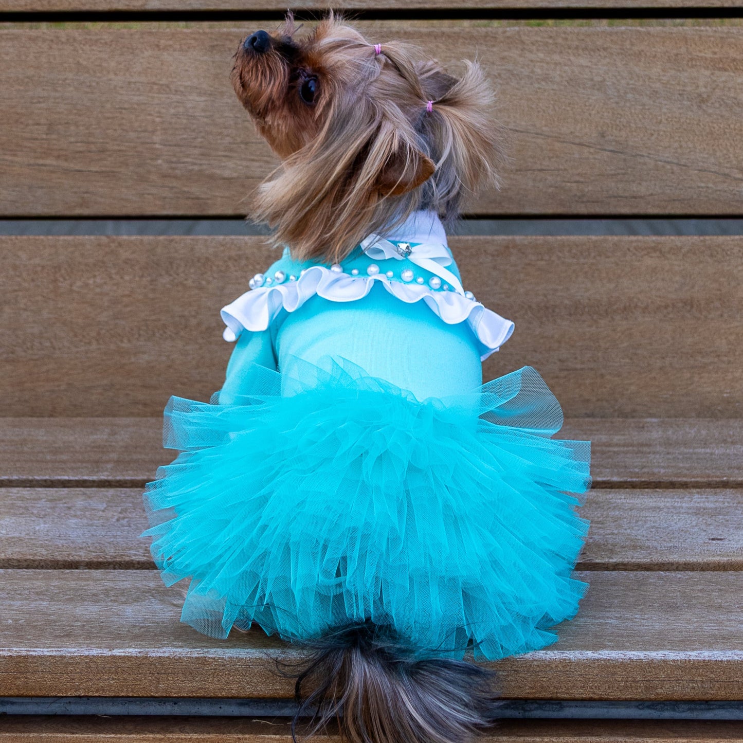 Fancy dog dresses Custom pet clothes Designer clothes for dogs