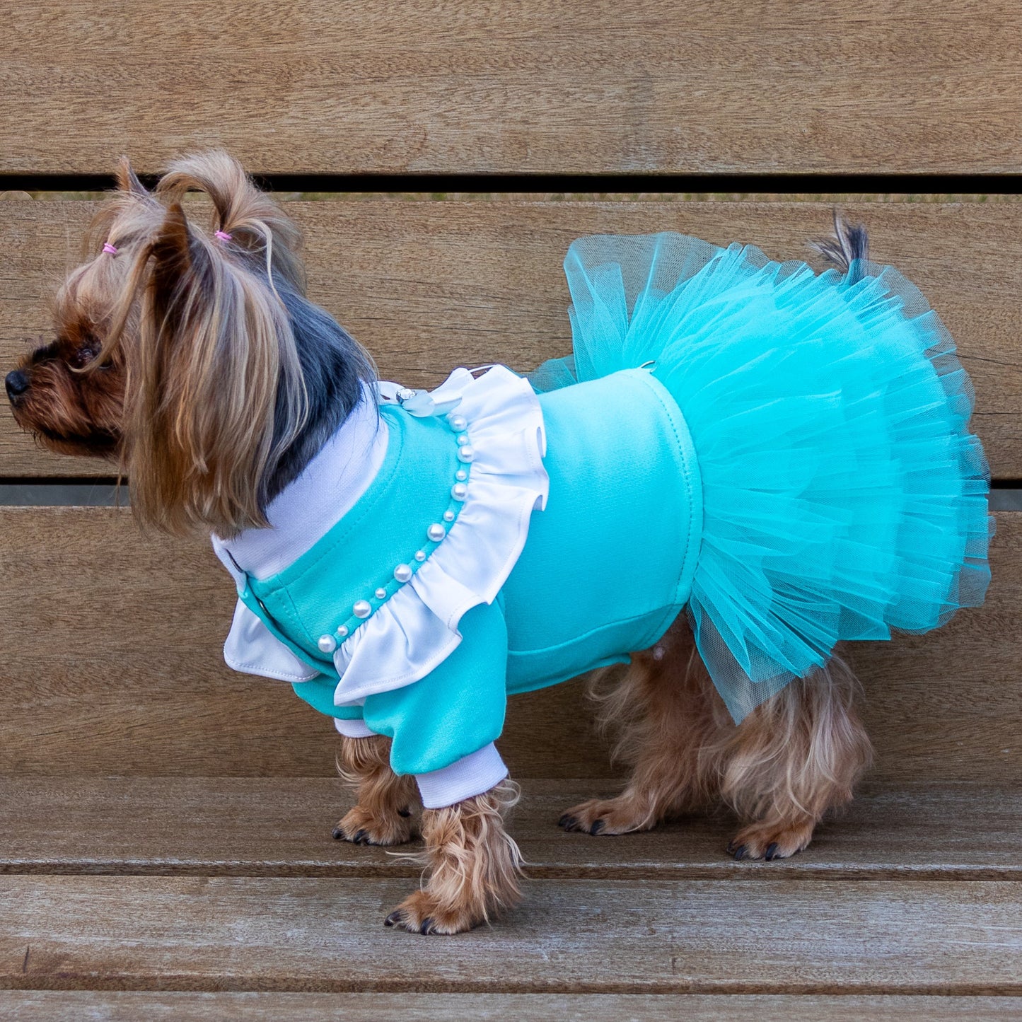 Tiffany dog dres Designer dog clothes