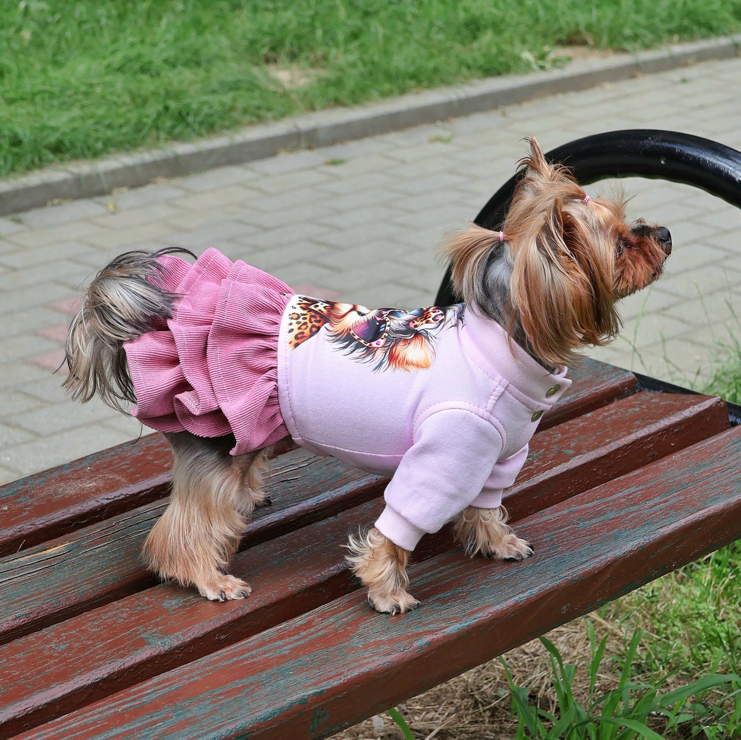 Small dog wearing pink fleece dress with Yorkie print and layered corduroy ruffle skirt