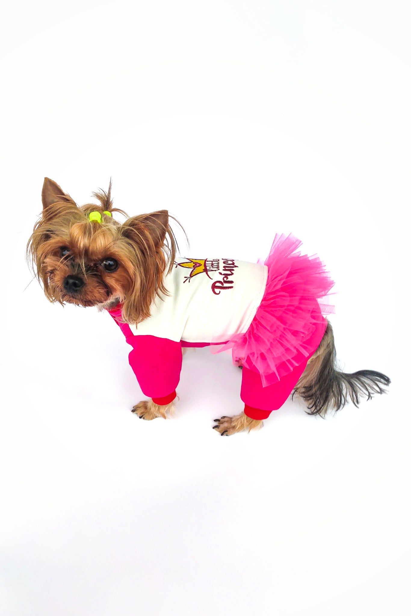 Princess cute dog jumpsuit with tutu