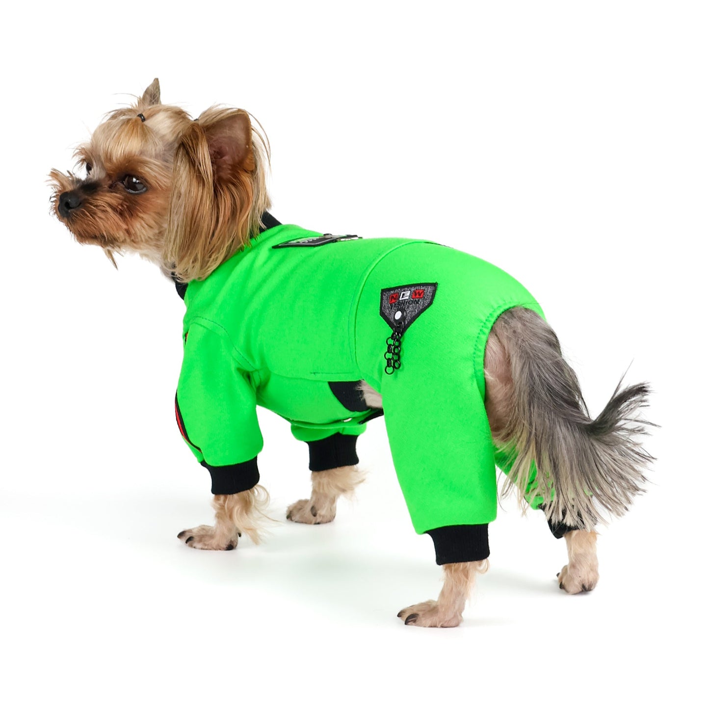 Boy dog jumpsuit. Pet overall. Dog onesie