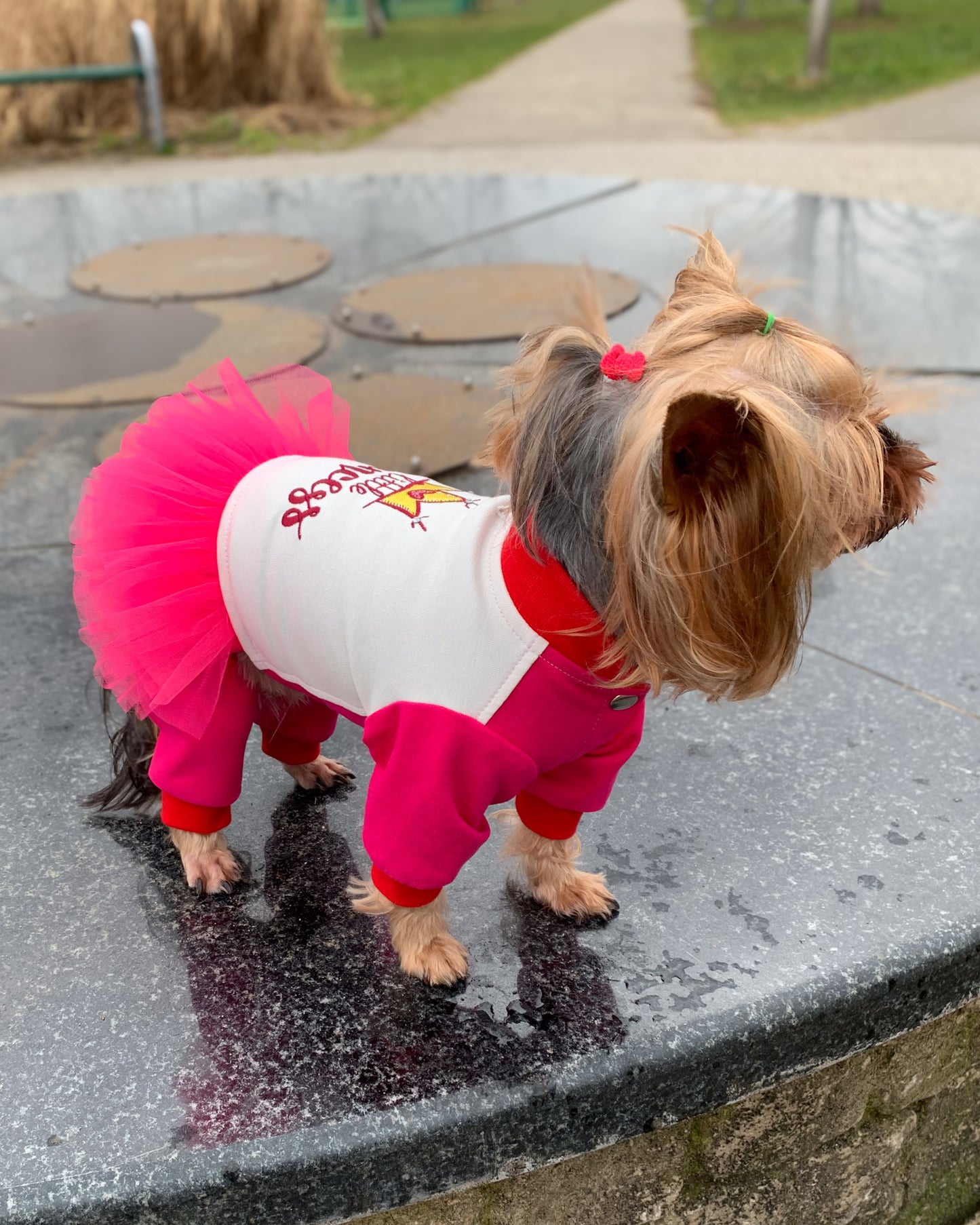 Princess cute dog jumpsuit with tutu