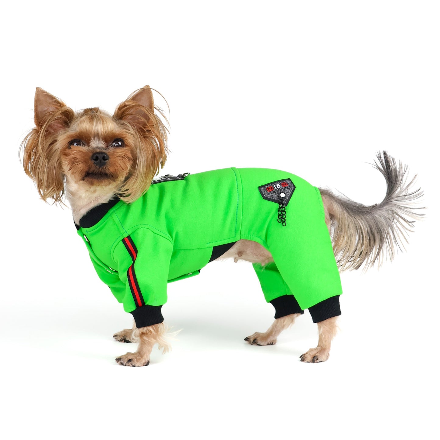Boy dog jumpsuit. Pet overall. Dog onesie