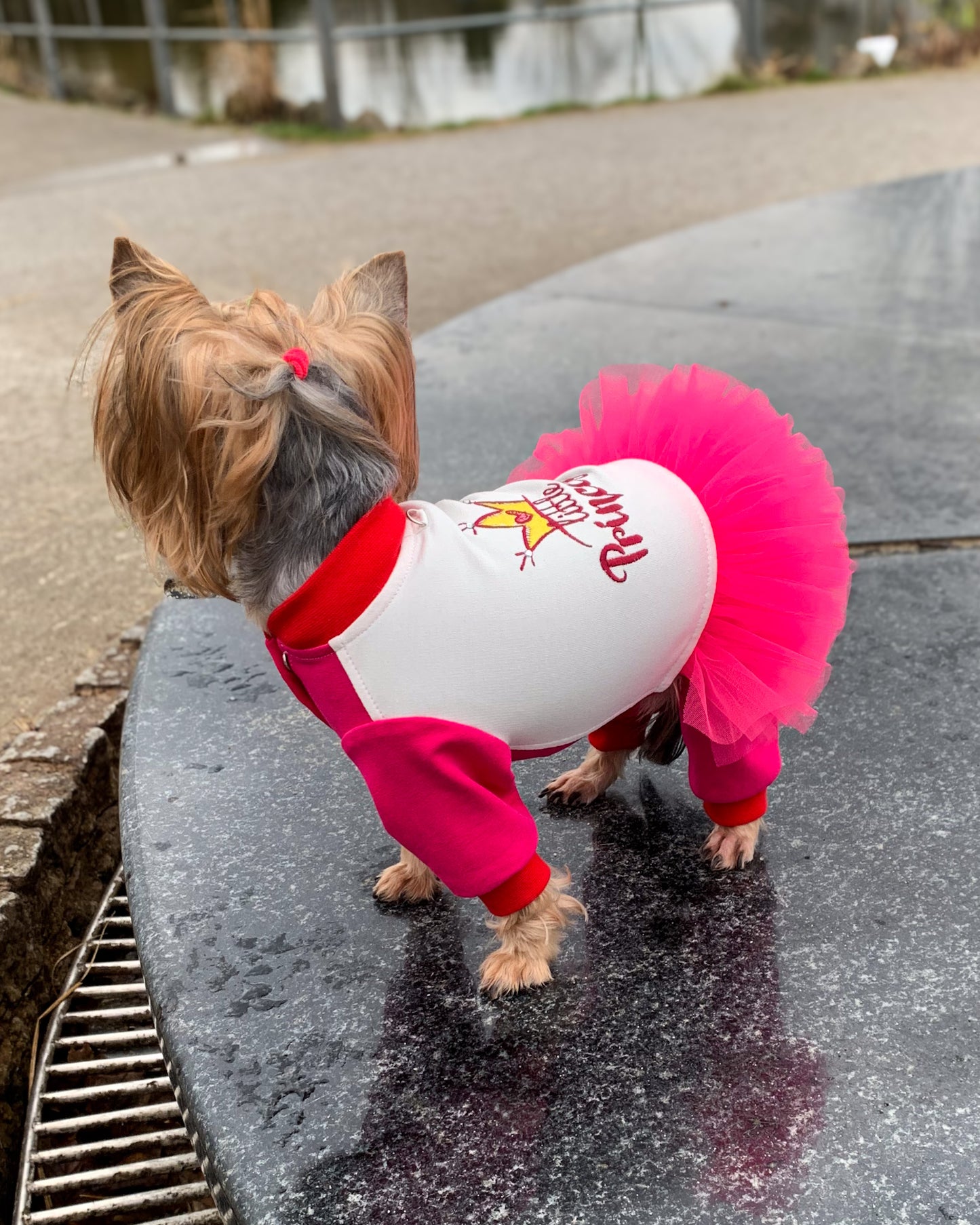 Princess cute dog jumpsuit with tutu