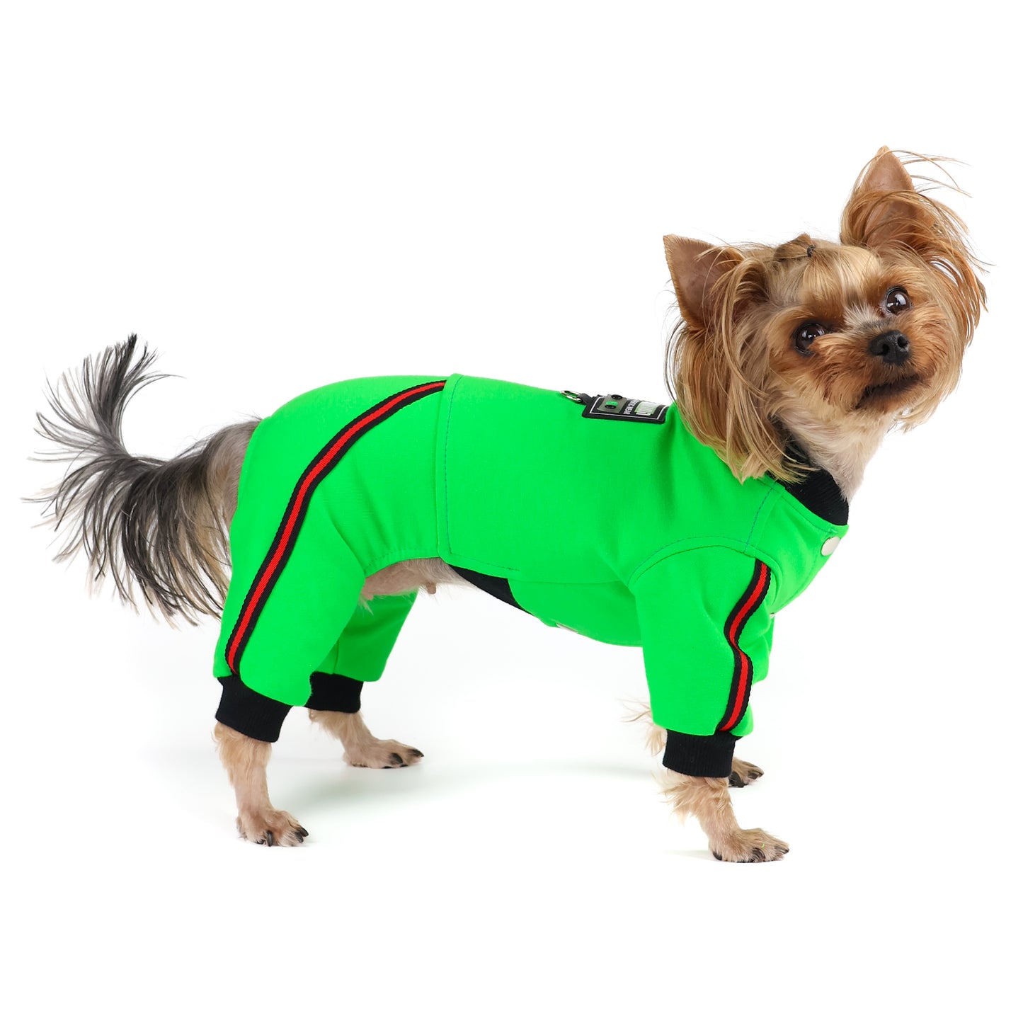 Boy dog jumpsuit. Pet overall