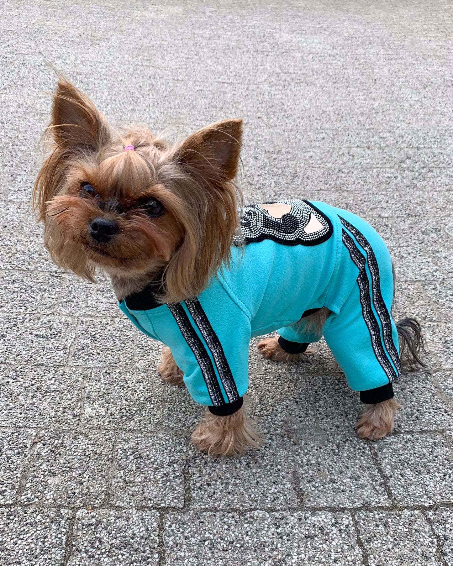 Unisex dog jumpsuit with bear