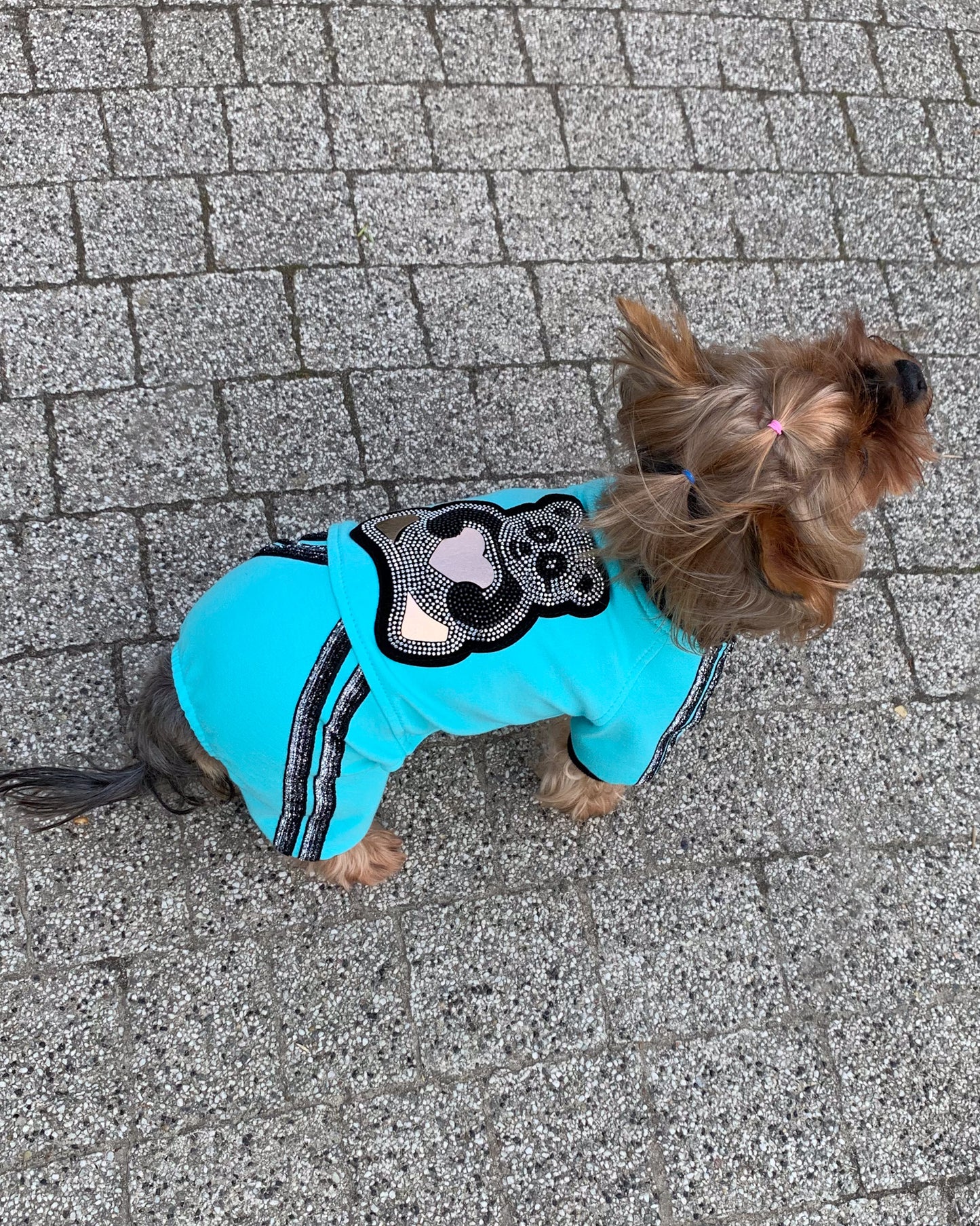 Unisex dog jumpsuit with bear