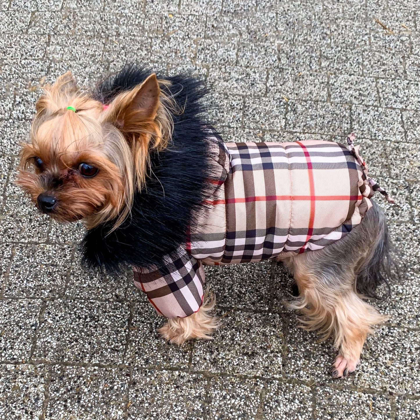 Winter waterproof dog coat
