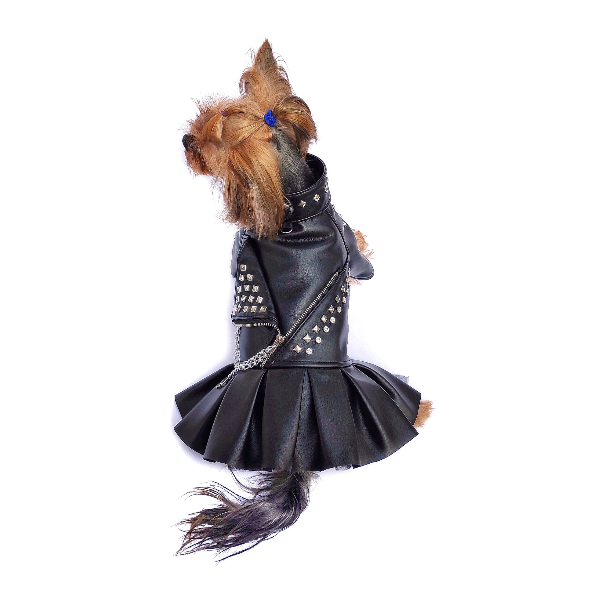 Handmade Biker Leather Jacket Dress for Dogs – Rocker Style Dog OutfitSmall dog wearing handmade black leather biker jacket dress
Rock-style dog outfit 