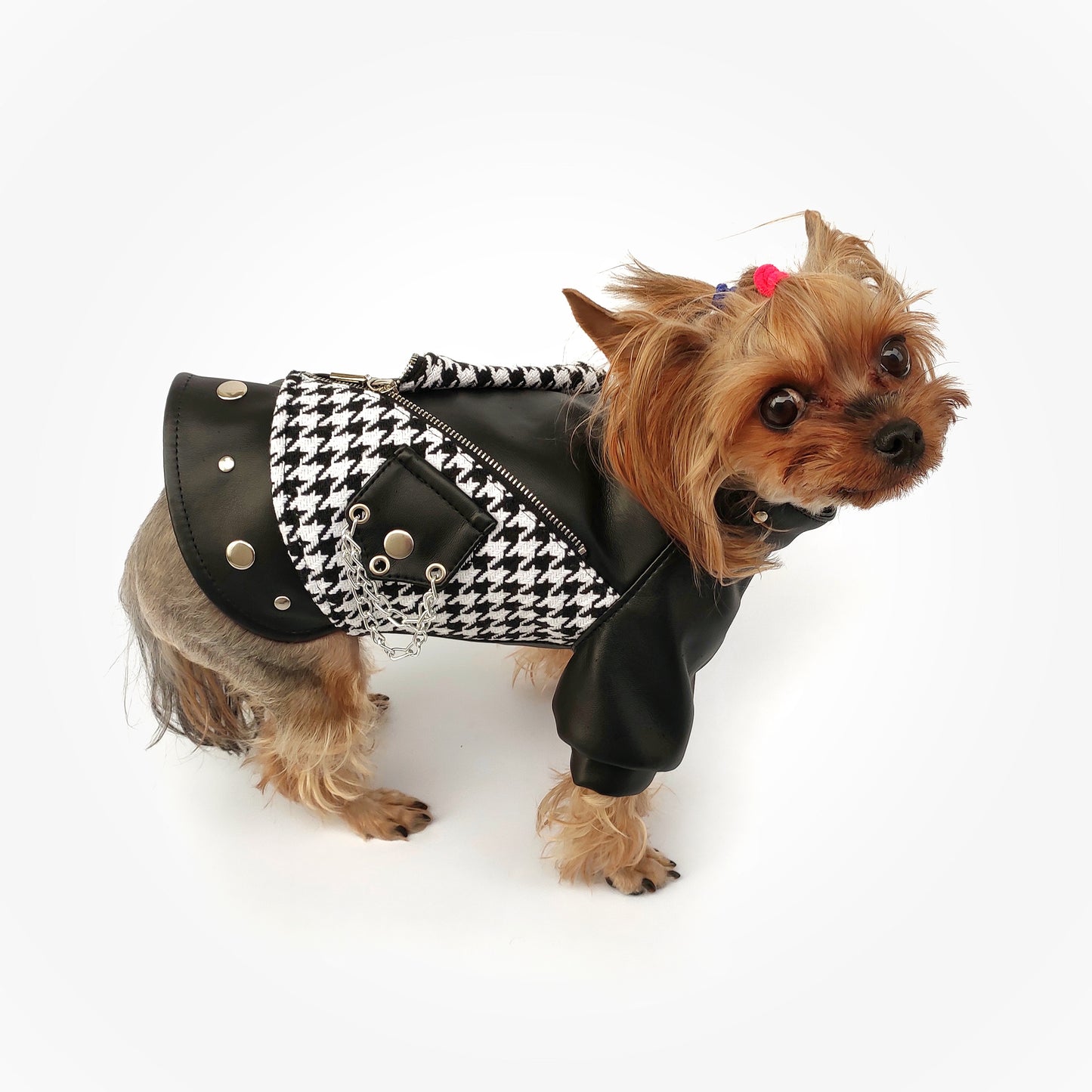 Black leather and tweed dog jacket