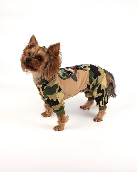 Boy dog stylish jumpsuit