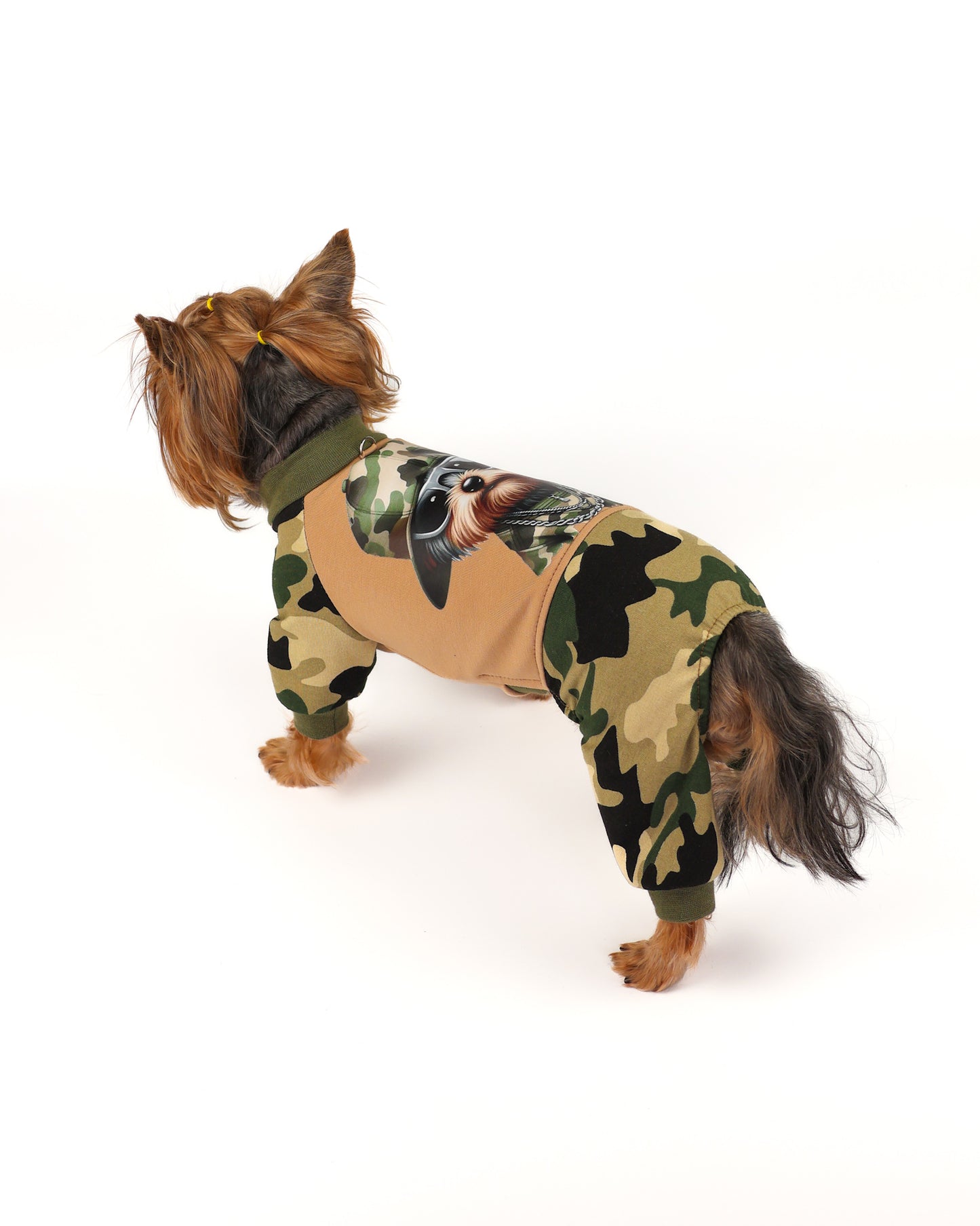 Boy dog stylish jumpsuit