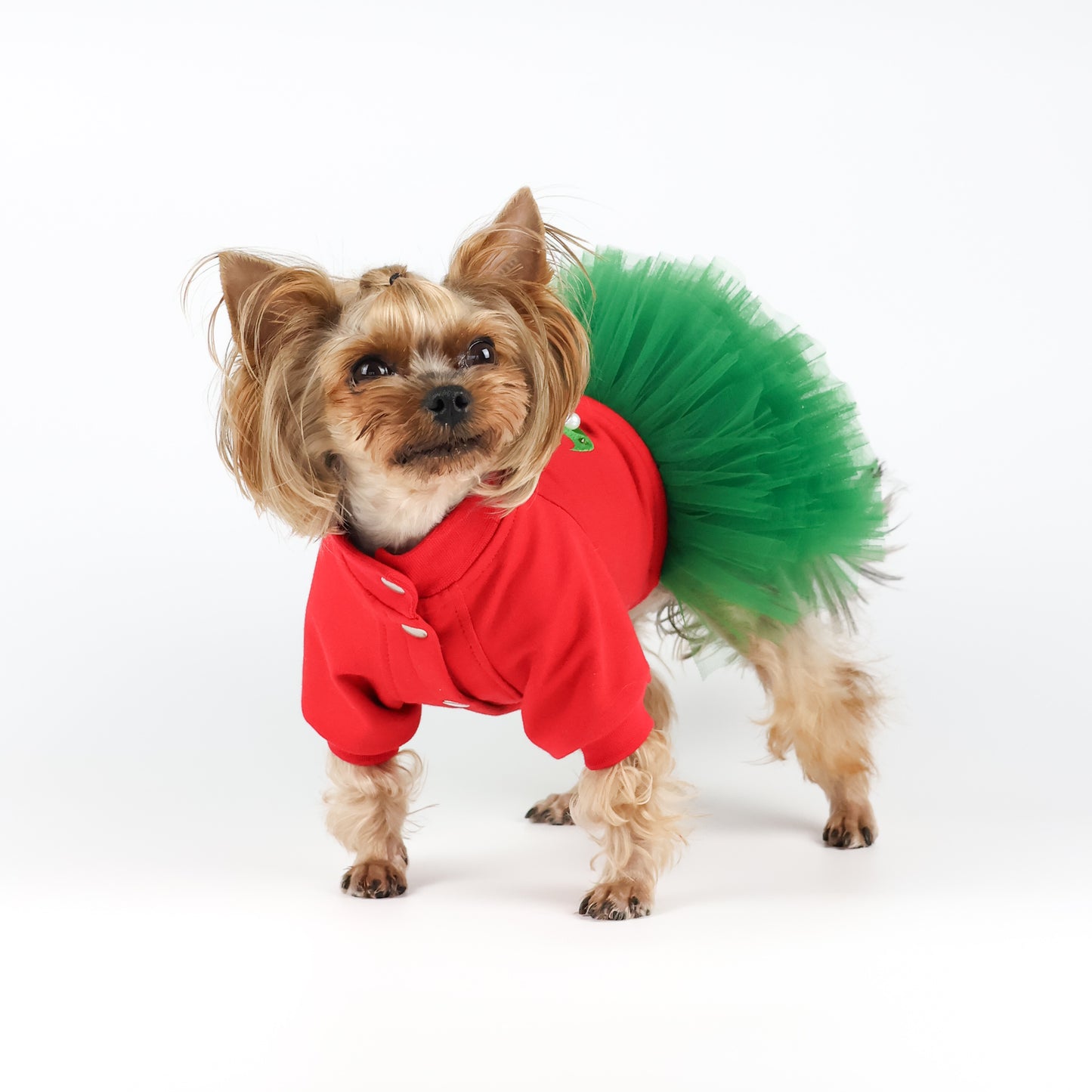 Christmas dog dress with tutu skirt