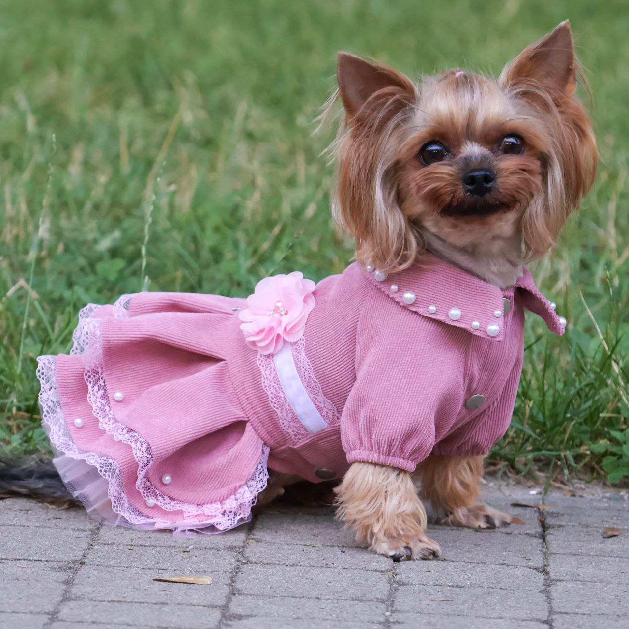 Cute fancy pink girl dog dress