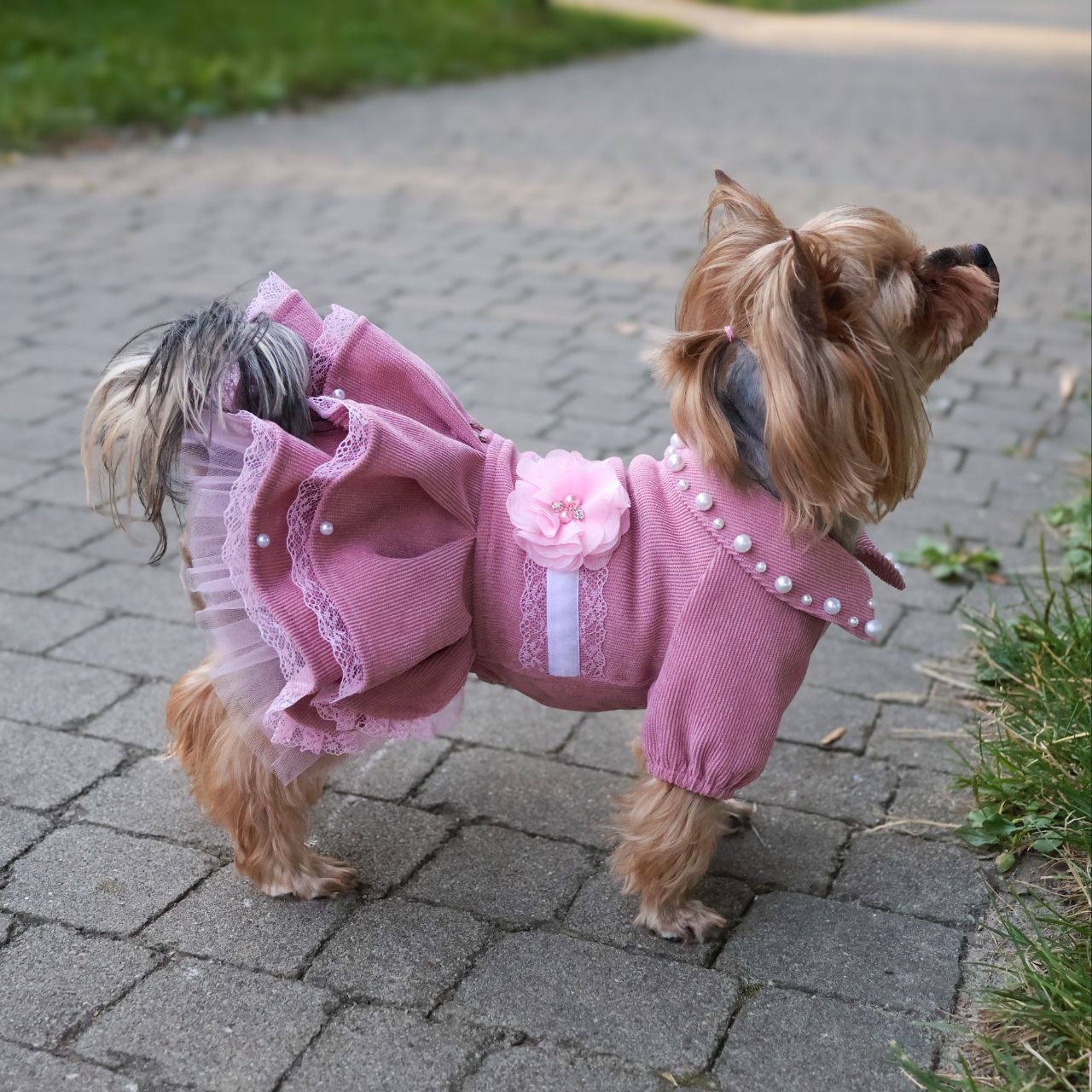 Cute fancy pink girl dog dress