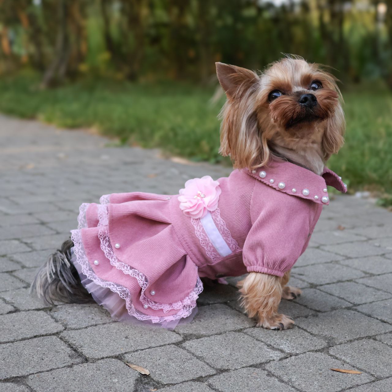 Cute fancy pink girl dog dress