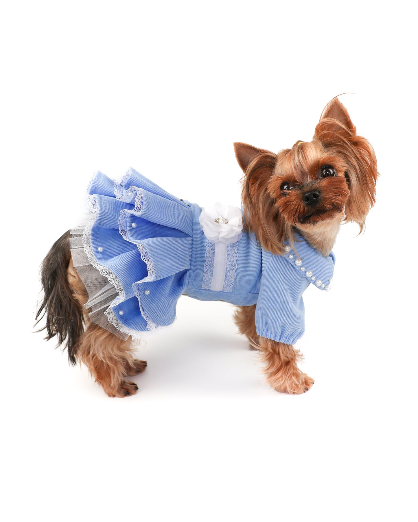 Fancy  handmade dog dress. Designer fashion pet clothes