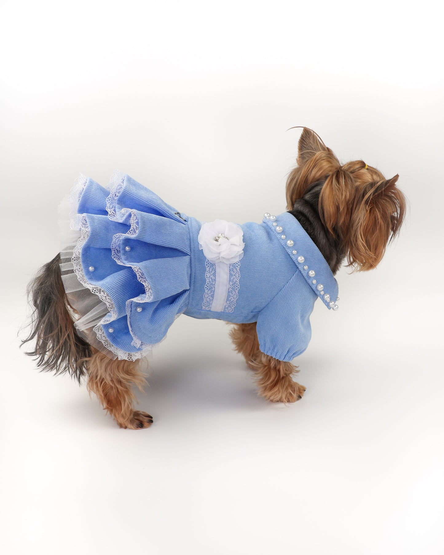 Fancy  handmade dog dress. Designer fashion pet clothes