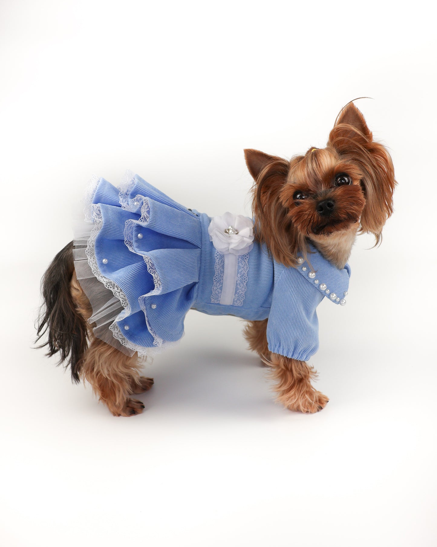 Fancy  handmade dog dress. Designer fashion pet clothes