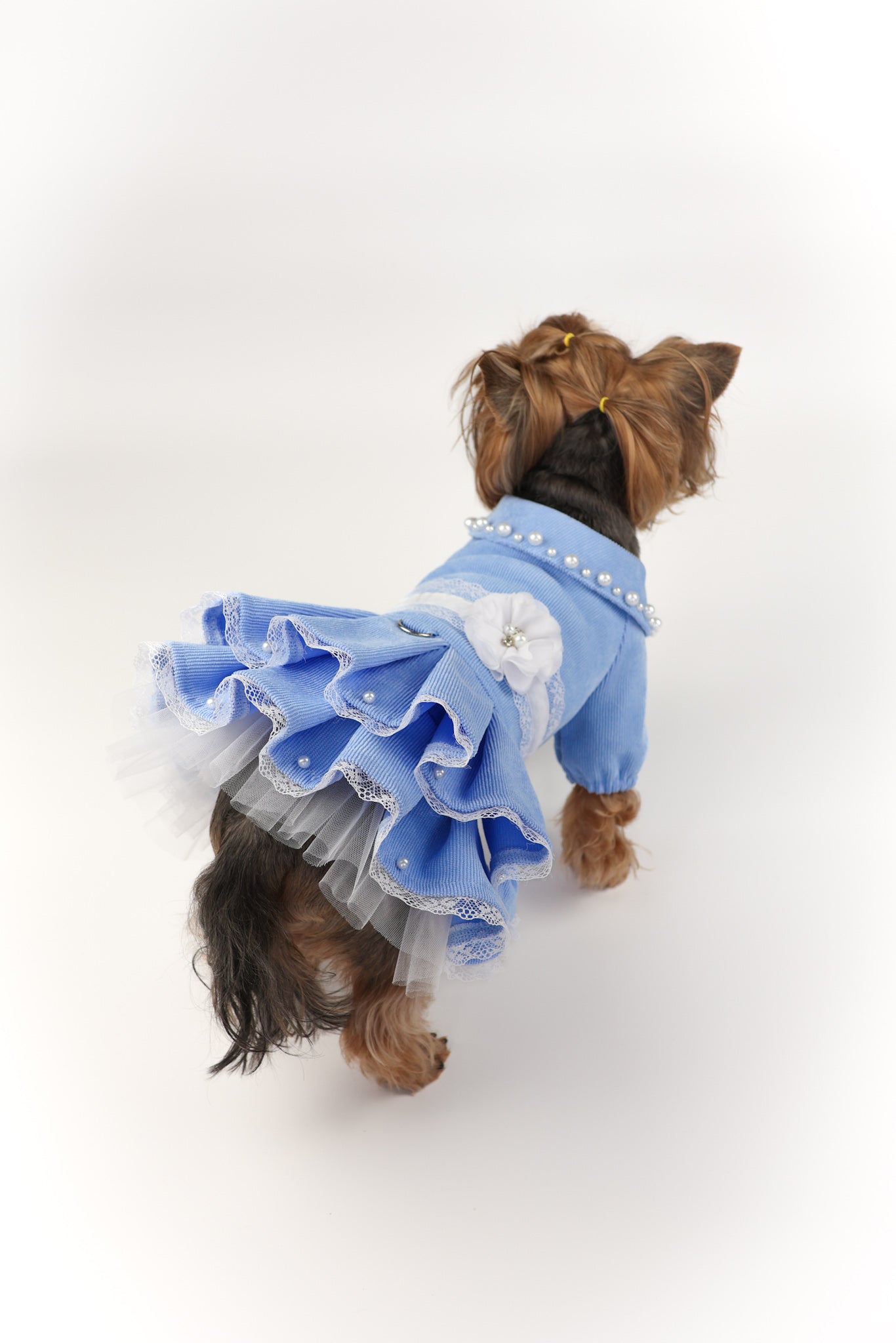 Fancy  handmade dog dress. Designer fashion pet clothes