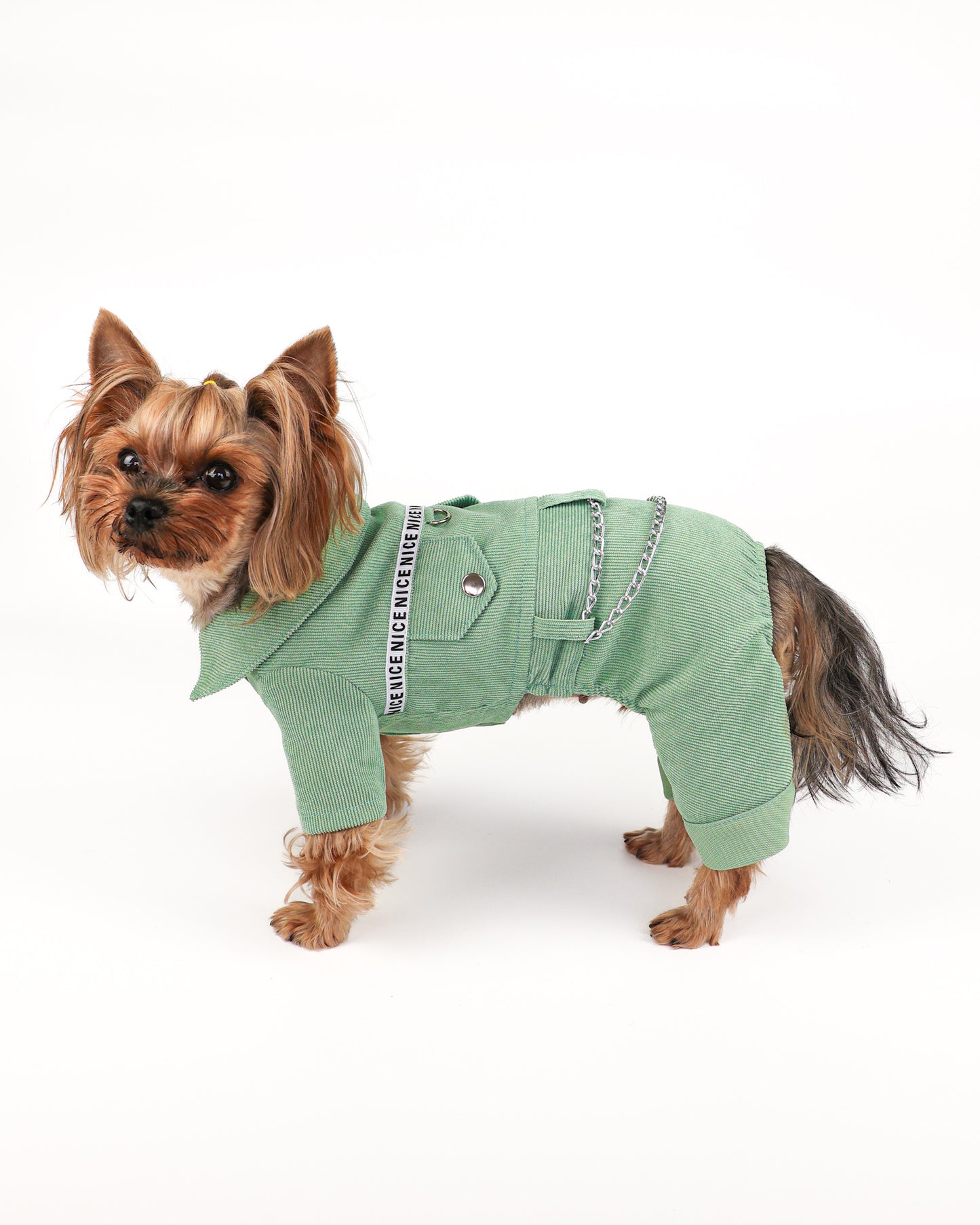 Fancy dog boy overalls - Cute male dog jumpsuit