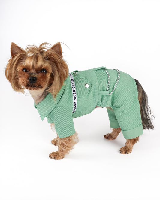 Fancy dog boy overalls - Cute male dog jumpsuit