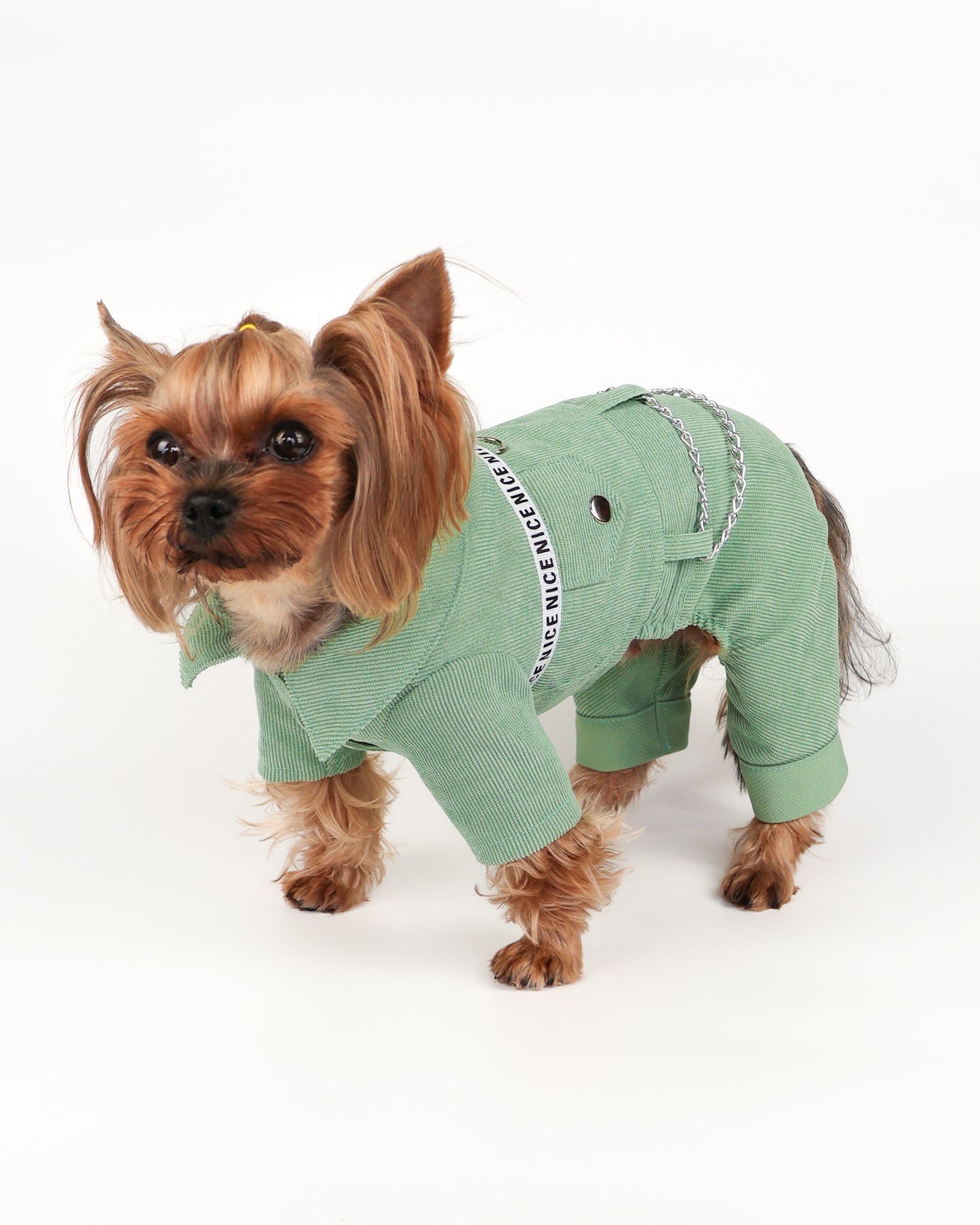 Fancy dog boy overalls - Cute male dog jumpsuit