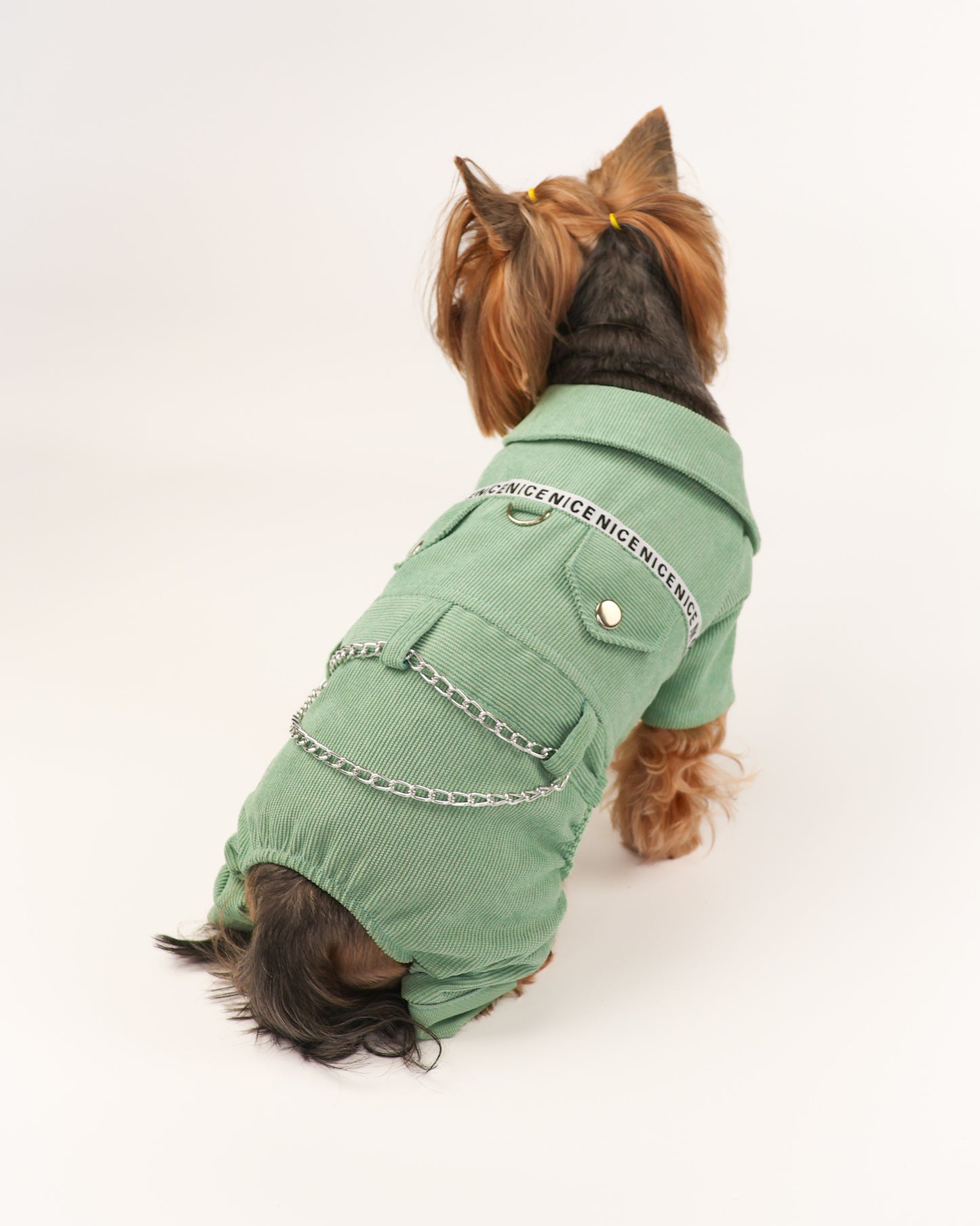 Fancy dog boy overalls - Cute male dog jumpsuit