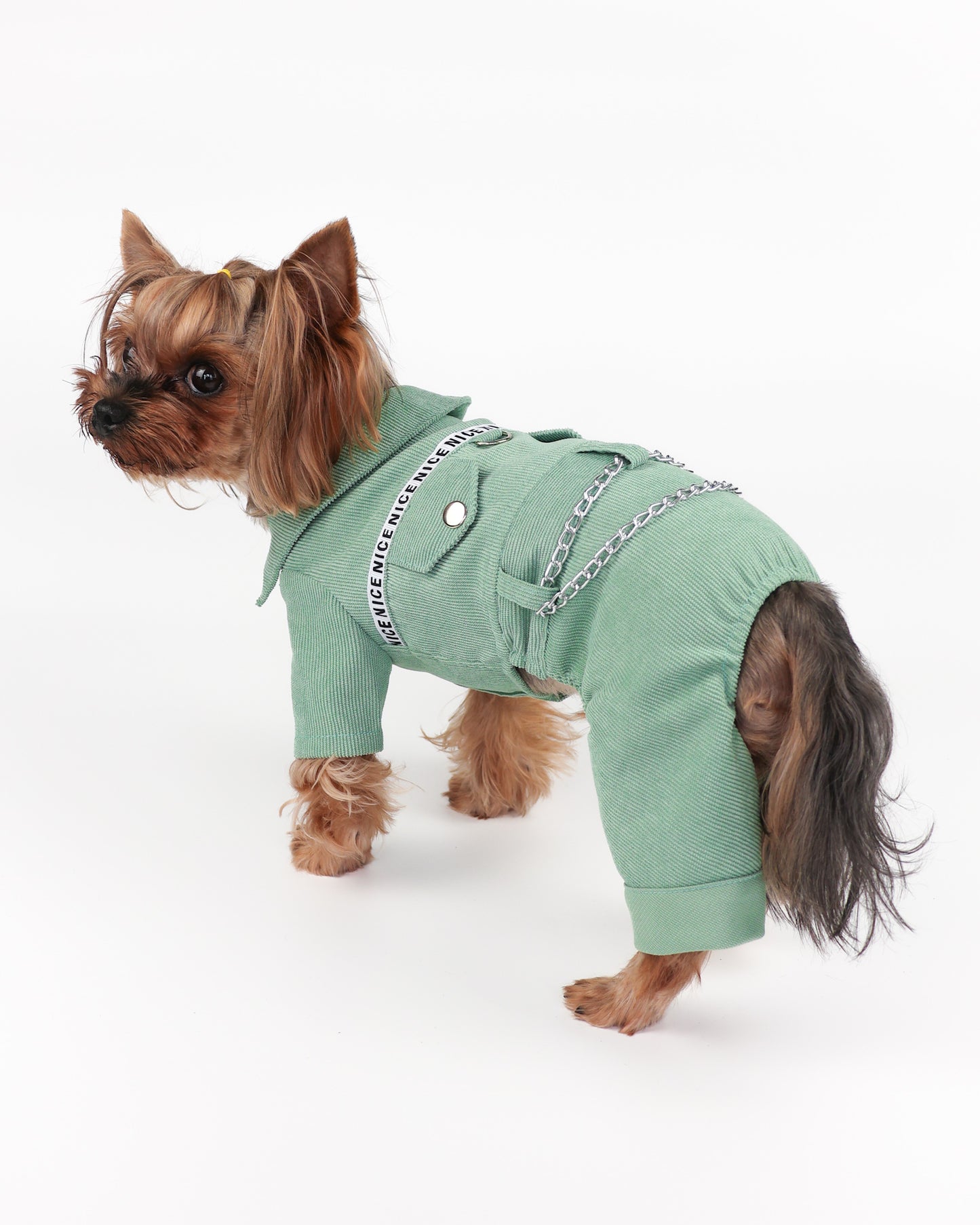 Fancy dog boy overalls - Cute male dog jumpsuit