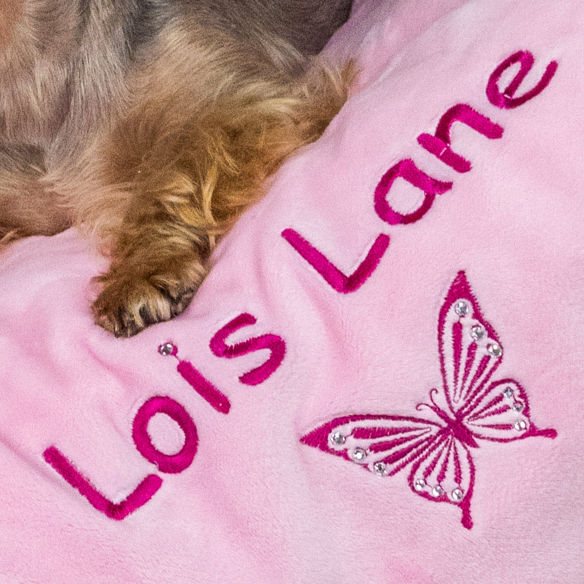 Personalized pink dog blanket and toy with name embroidery