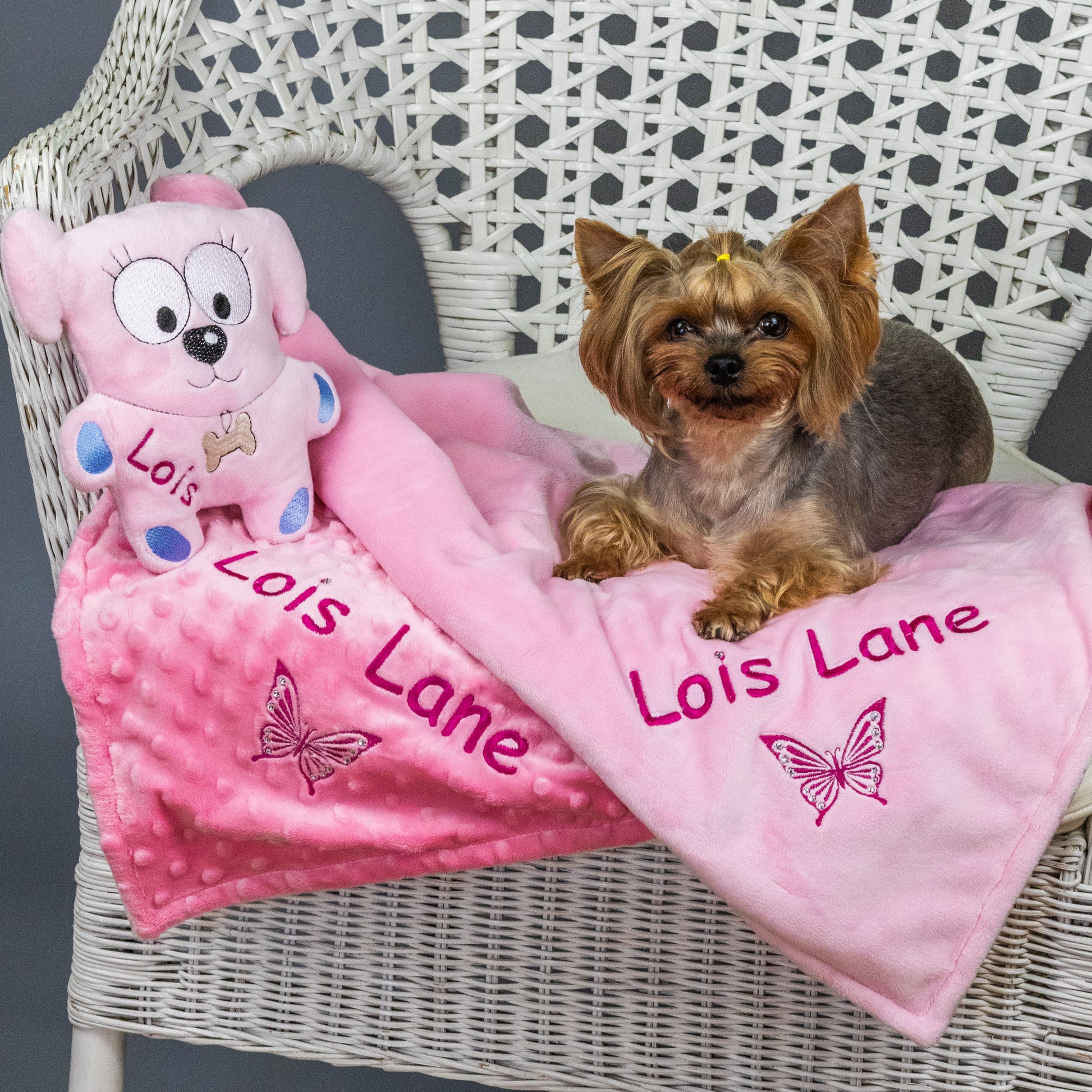 Personalized pink dog blanket and toy with name embroidery