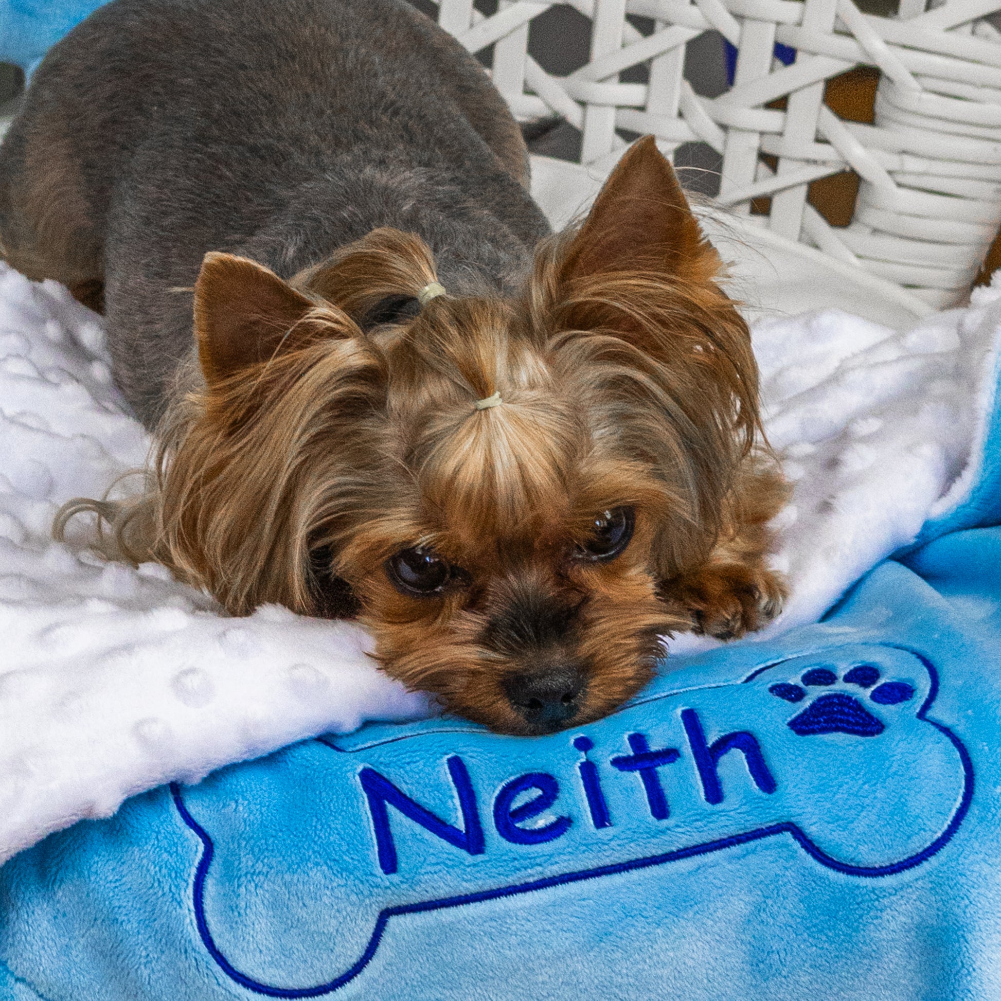 Personalized dog blanket and toy with name embroidery