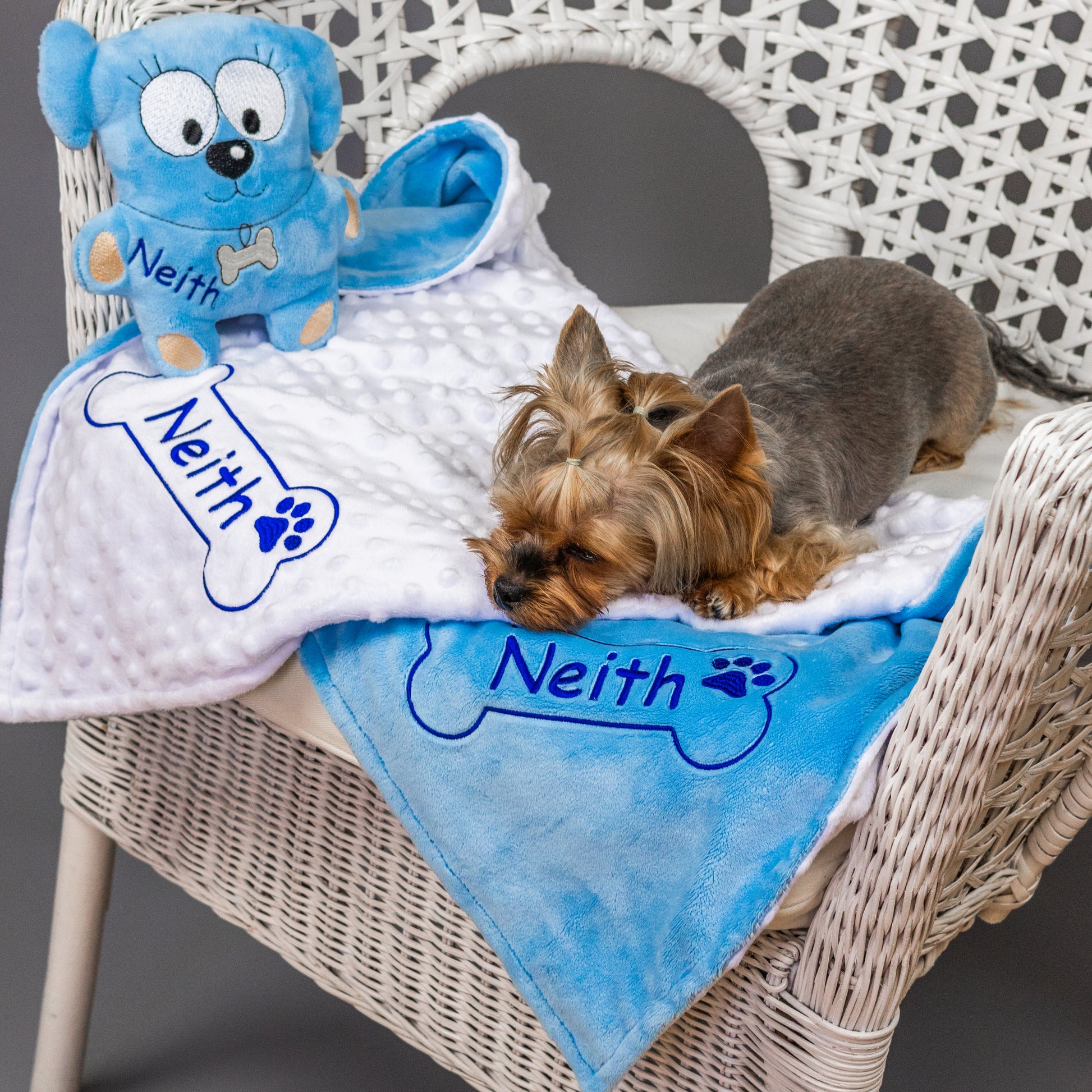 Personalized dog blanket and toy with name embroidery