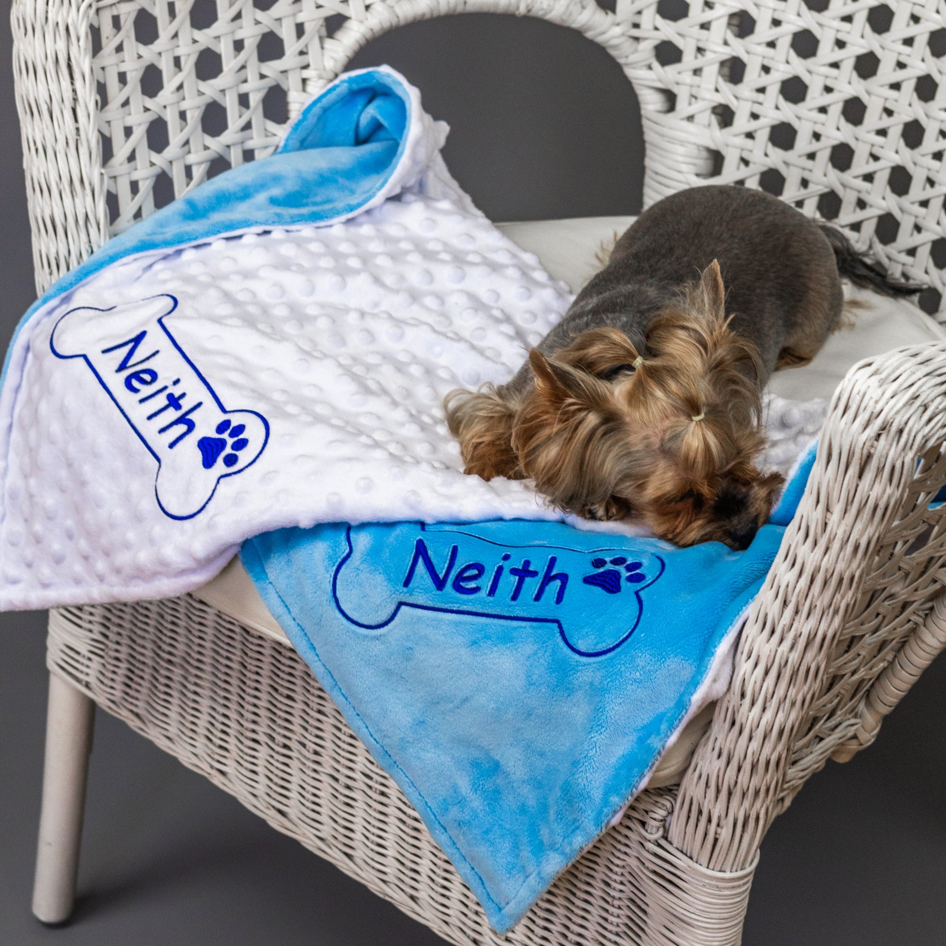 Personalized dog blanket and toy with name embroidery