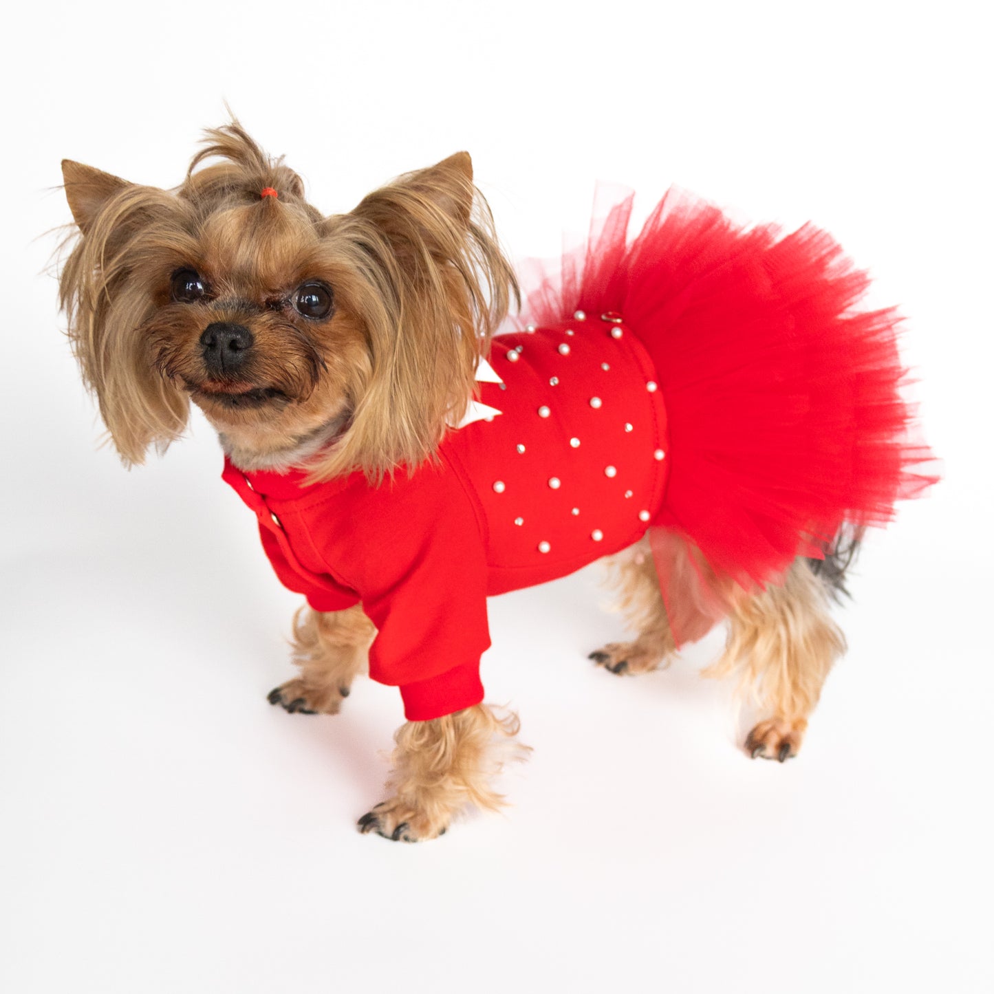 Cute Red Tutu Dog Dress – Pearls, Rhinestones & Snaps for Small Dogs. fancy red small dog dress. Cuty yorkie girl dog clothes 