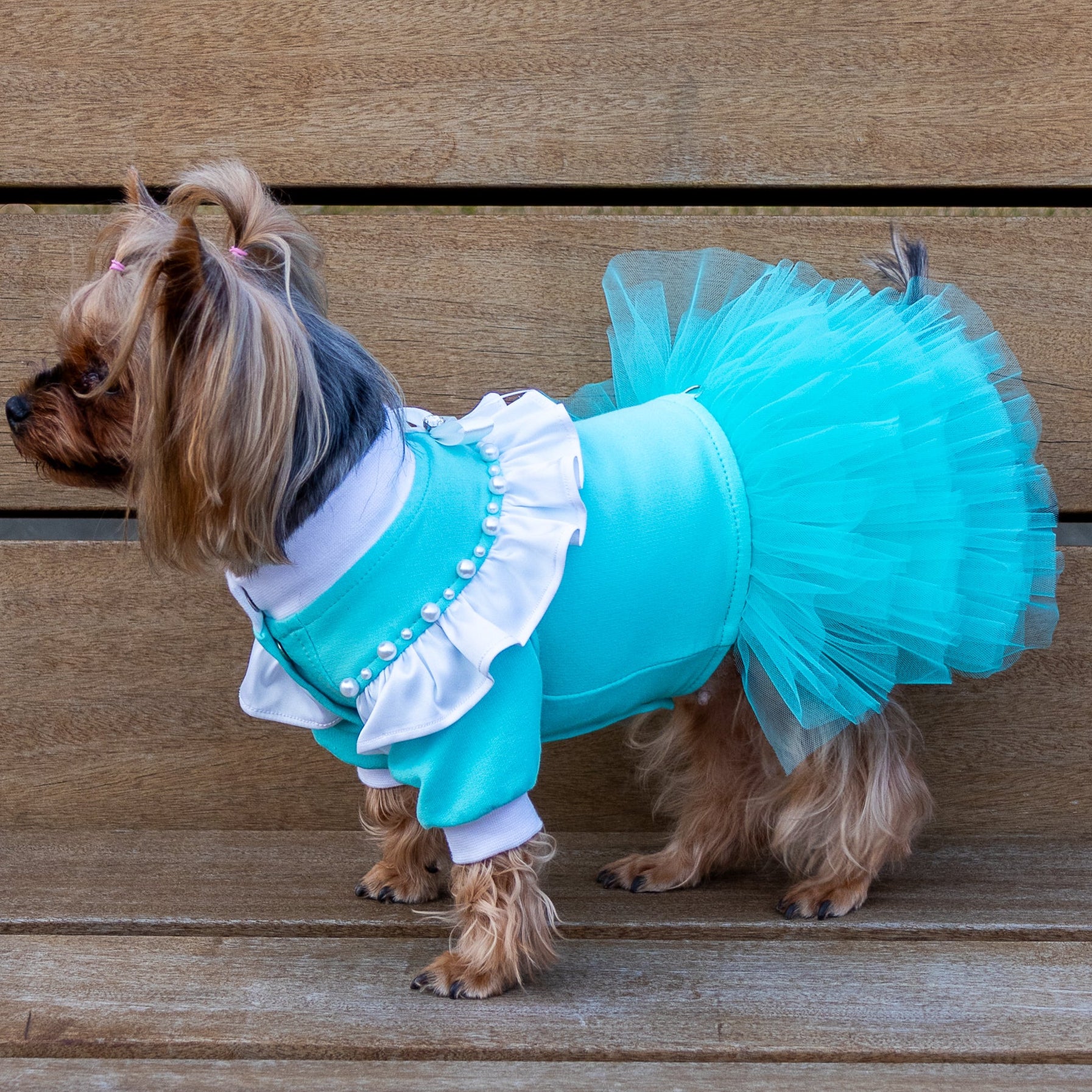 Tiffany dog dres Designer dog clothes