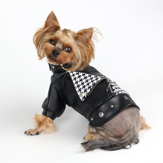 Leather tweed dog jacket